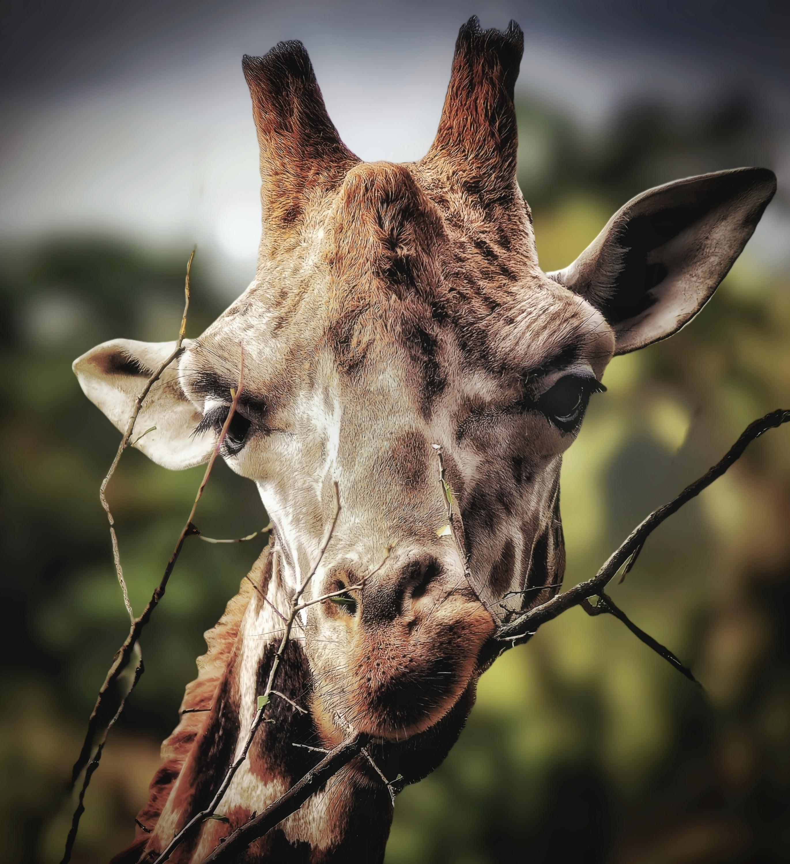 Zoo Jihlava foto 4