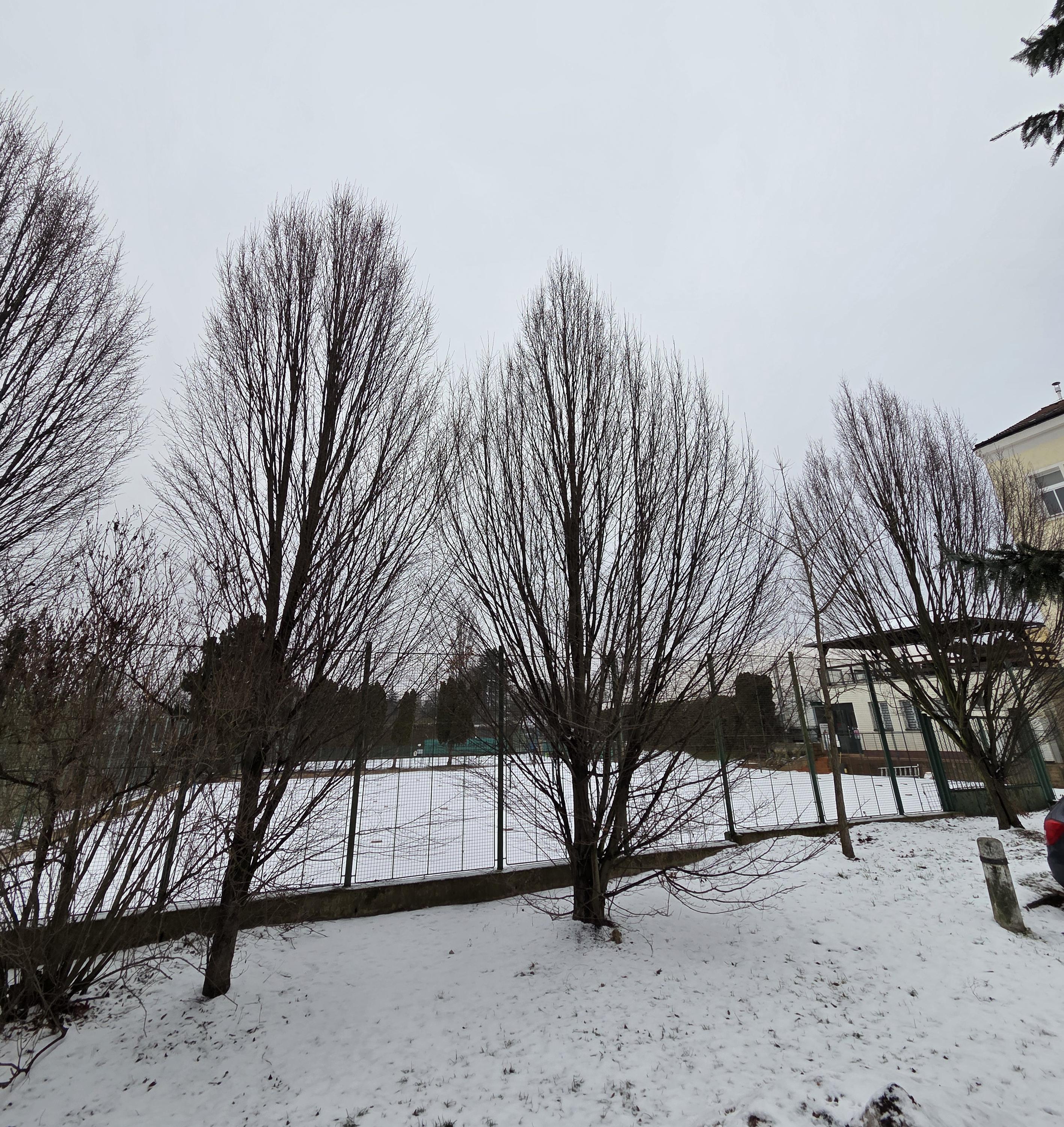 Sportovní Club Jedličkova ústavu Praha, z.s. foto 1