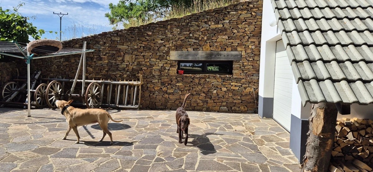 AREDAM - OVI, s.r.o. foto 3