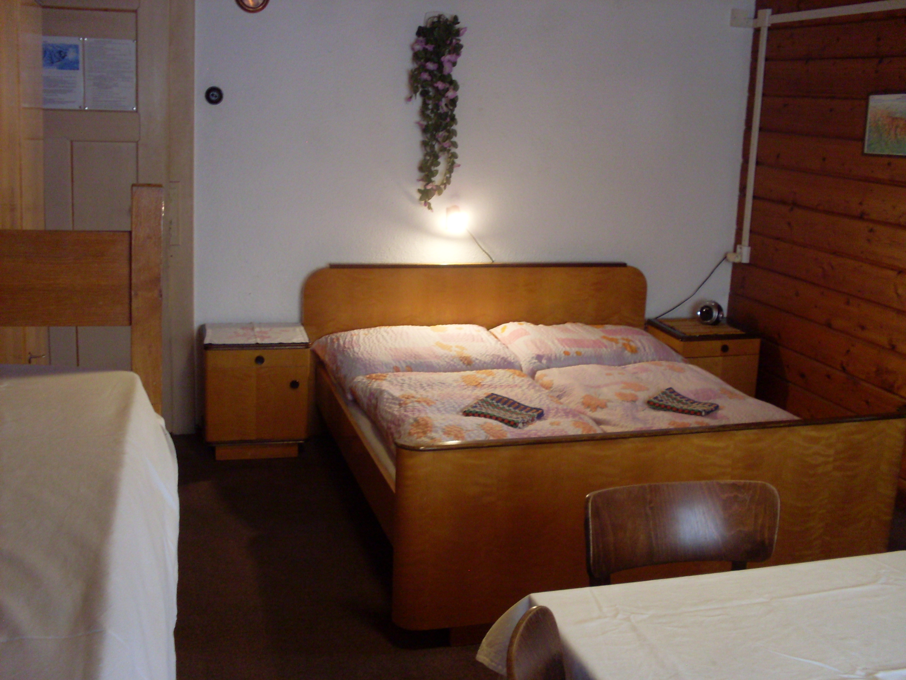 ŠNEKO SKI RENT foto 4