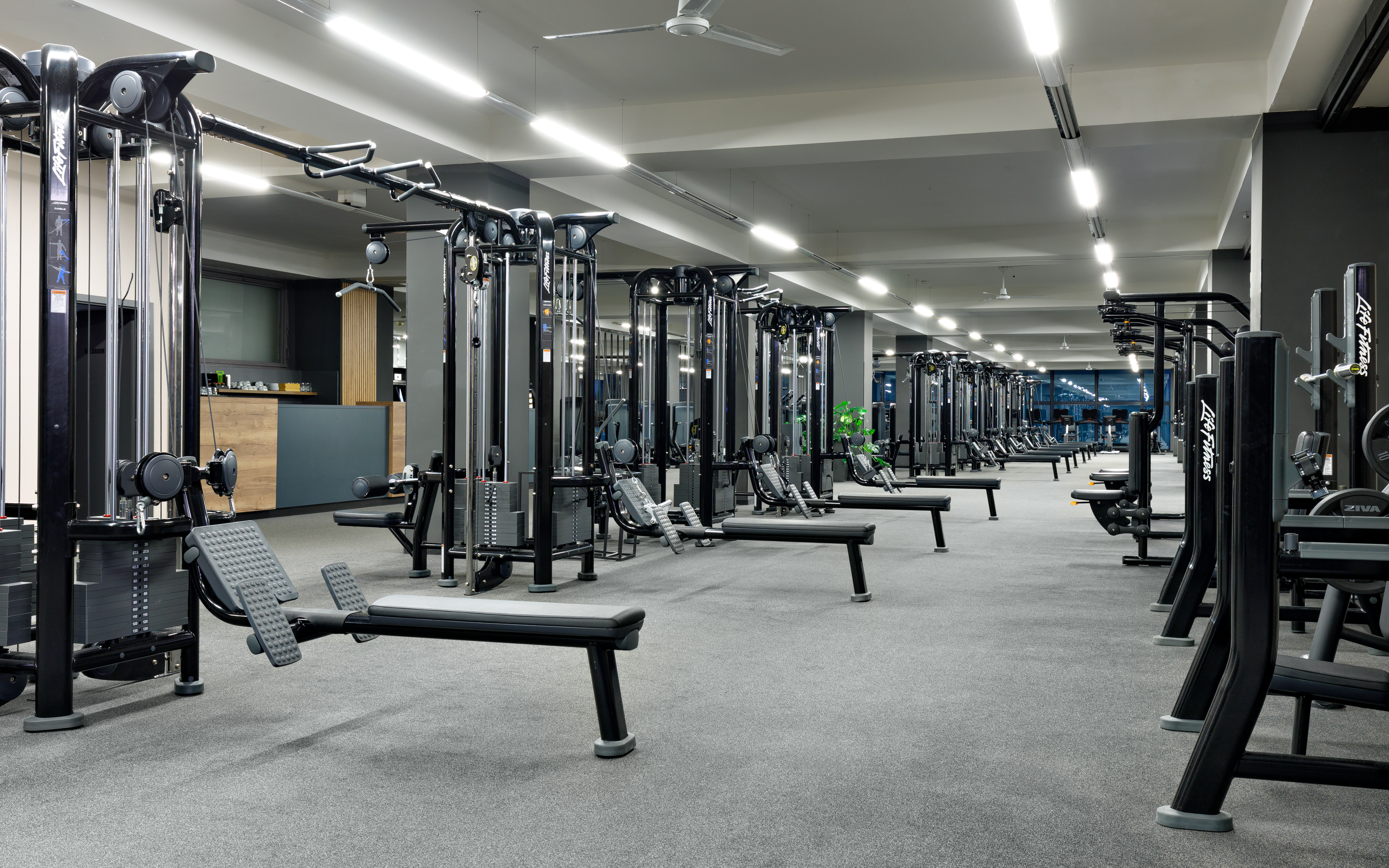 Max Fitness Bílá Labuť foto 4
