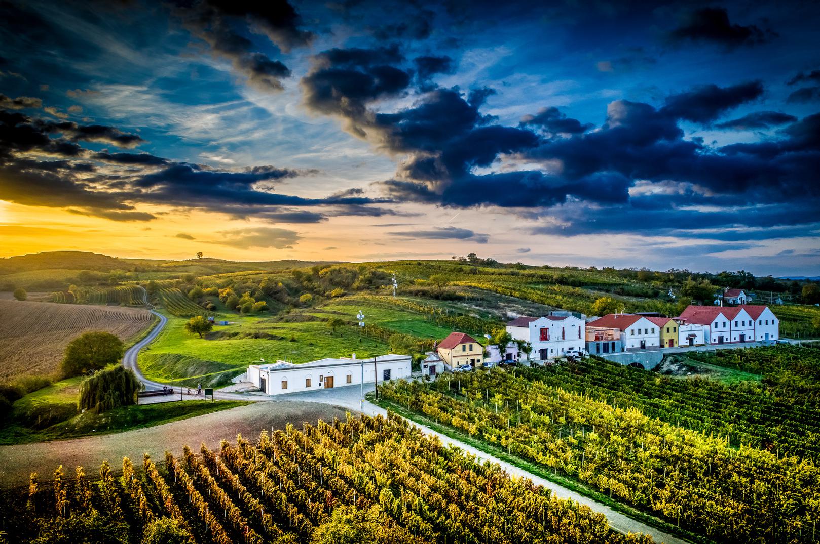 Vinařství Mikrosvín Mikulov