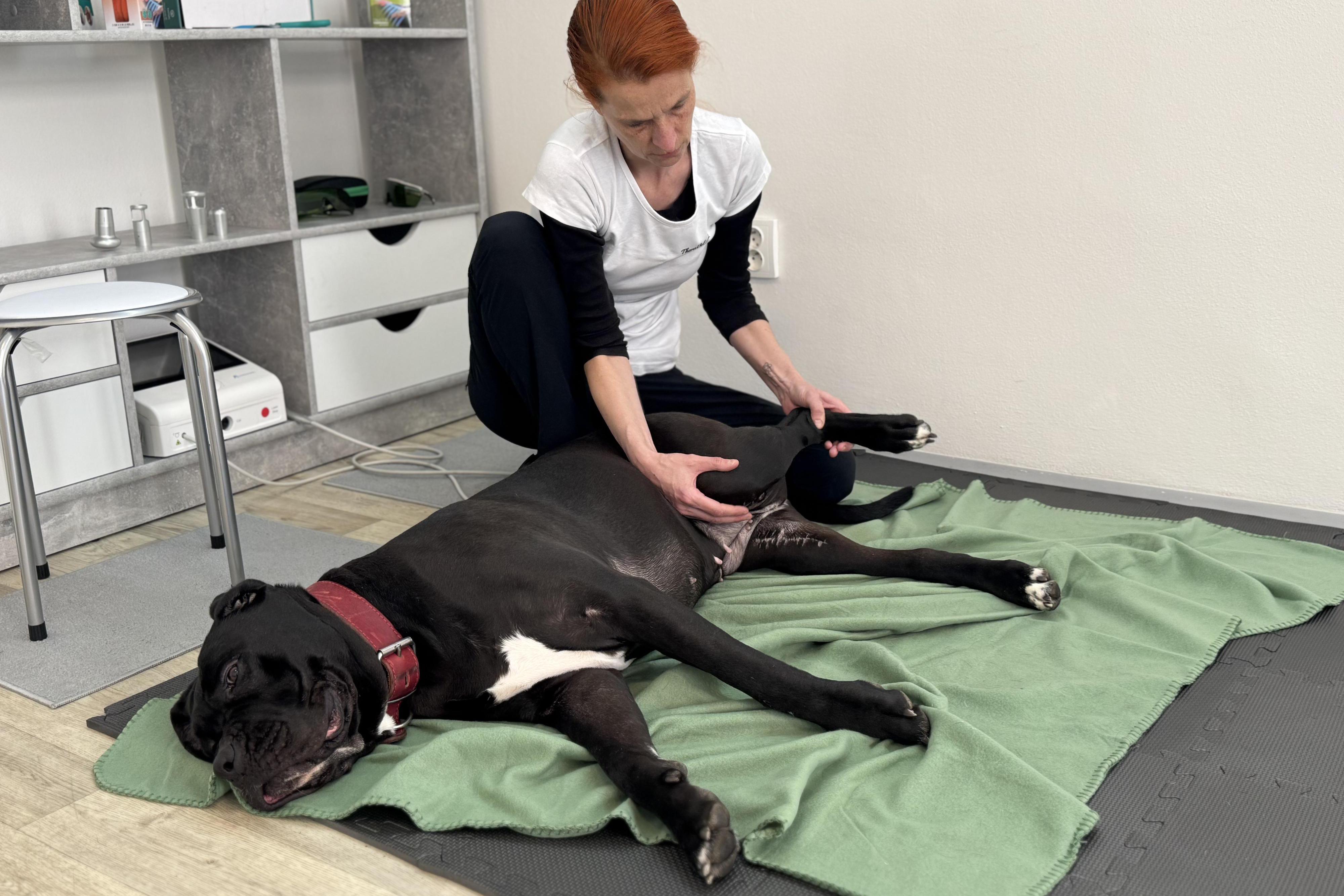 TheraVet - Ing. Radana Malhocká, CertCAAPR