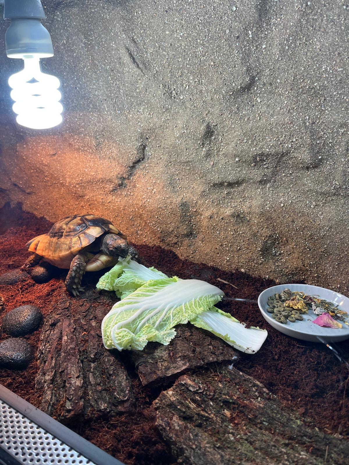 U MAZLÍČKŮ - chovatelské potřeby foto 2