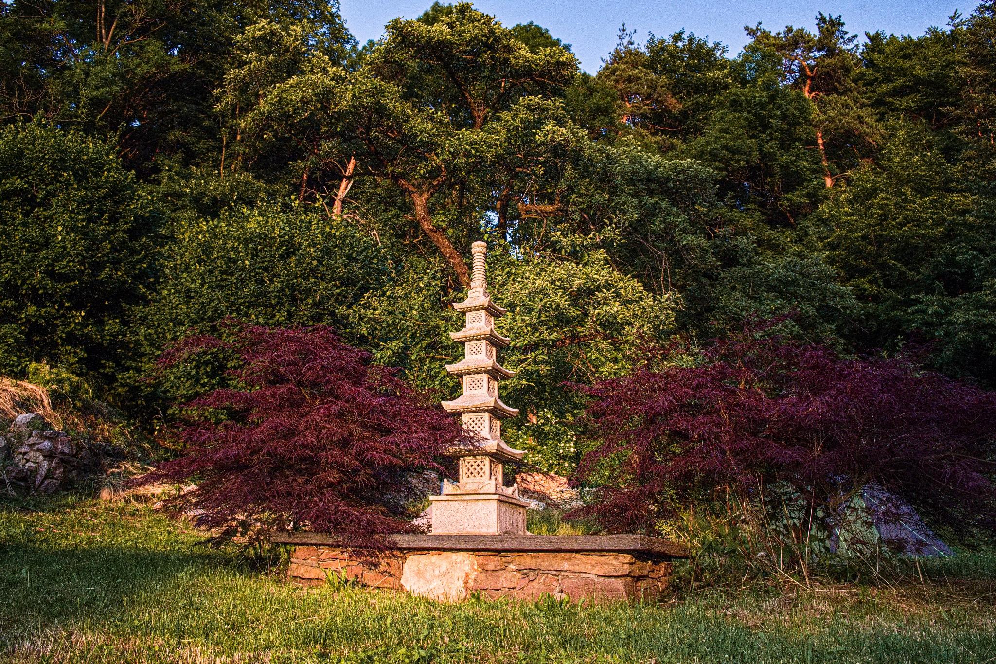 Kwanum School of Zen Vrázné foto 2