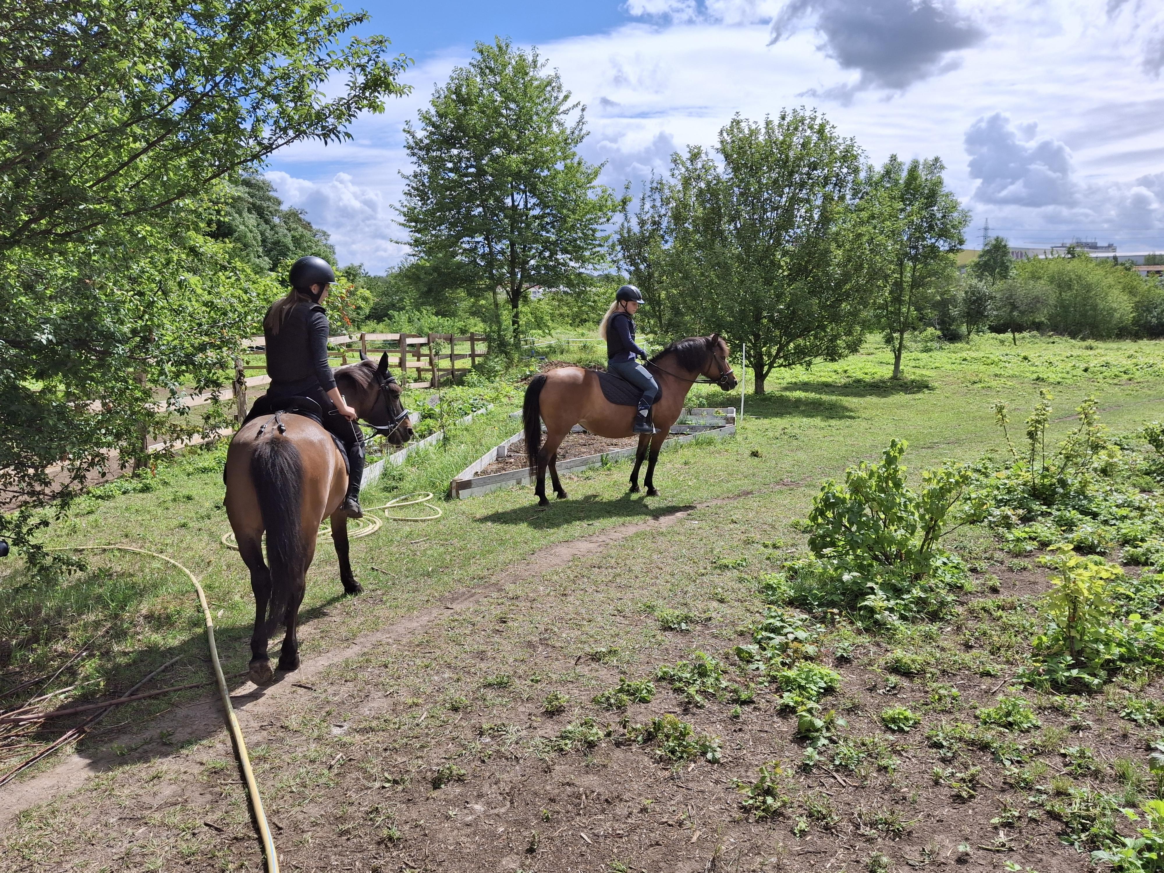 Letní příměstské tábory s koňmi - Praha-Zličín