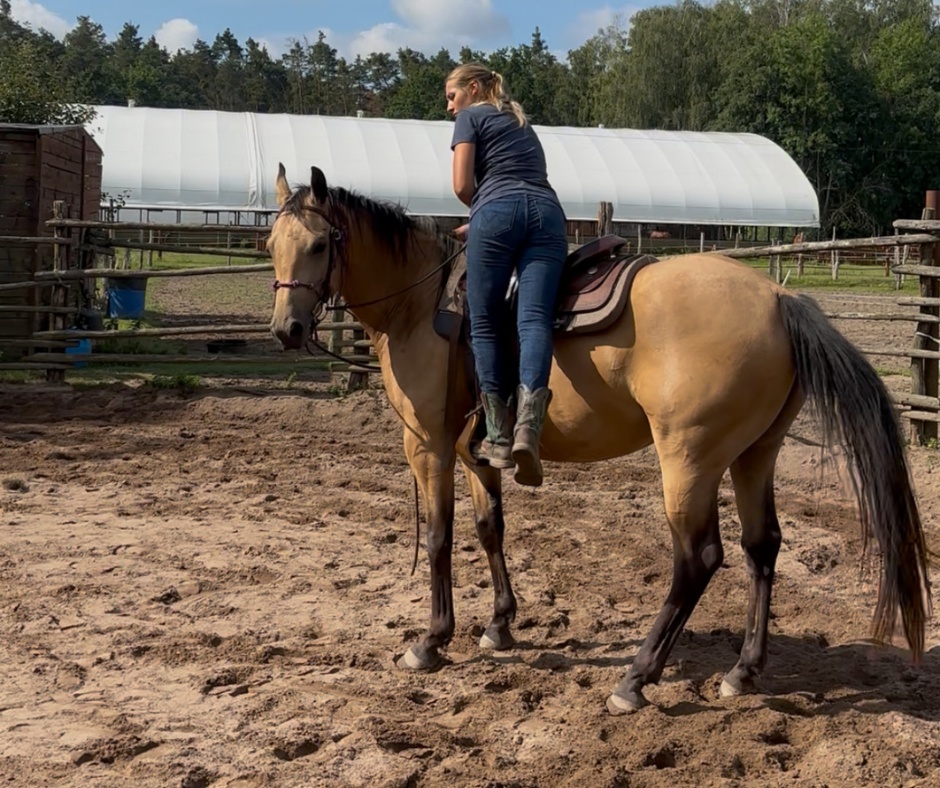 GKhorsemanship foto 2