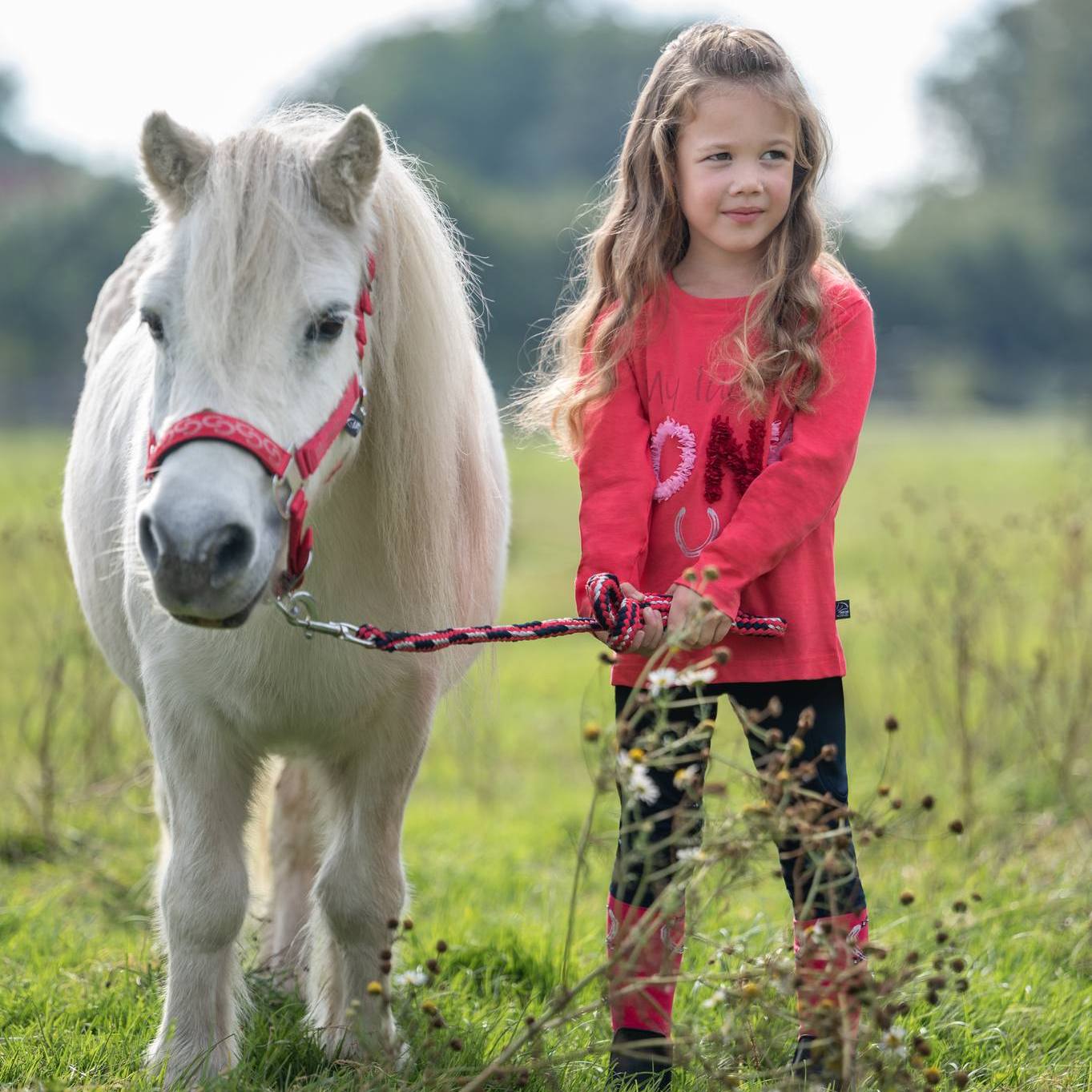 Ráj-ohlávek.cz foto 5