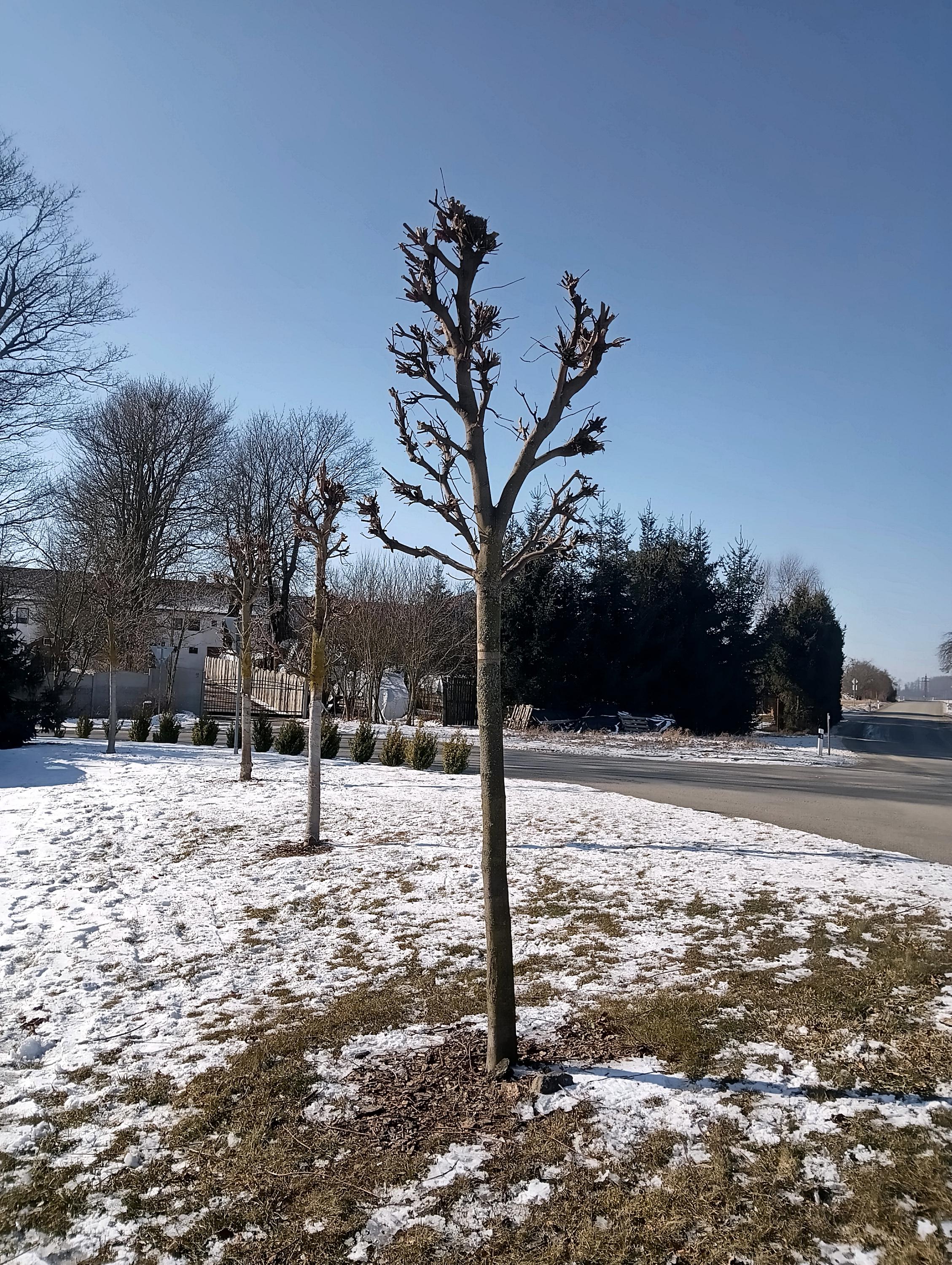 Zahrady Petr Vítů foto 2