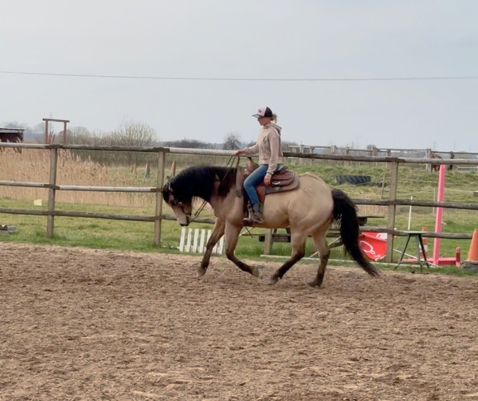 GKhorsemanship foto 5