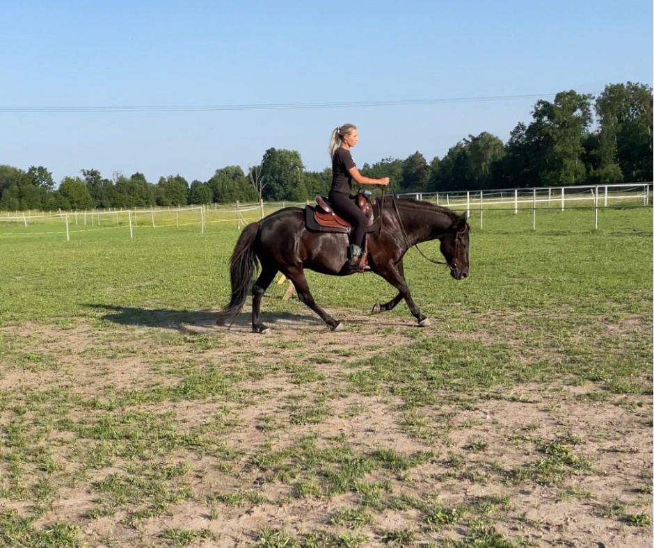 GKhorsemanship foto 4