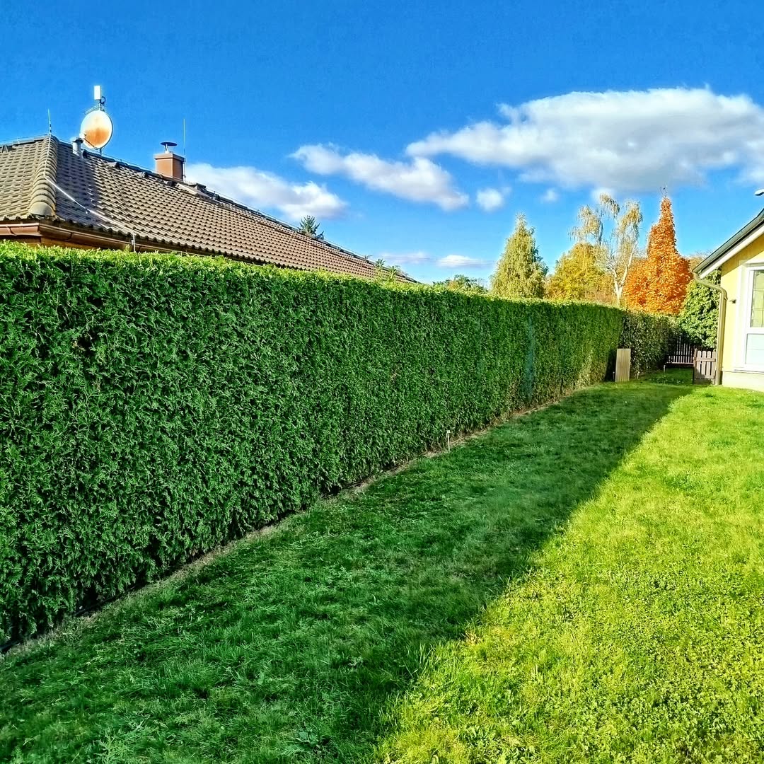 Čistá zahrada.eu foto 1