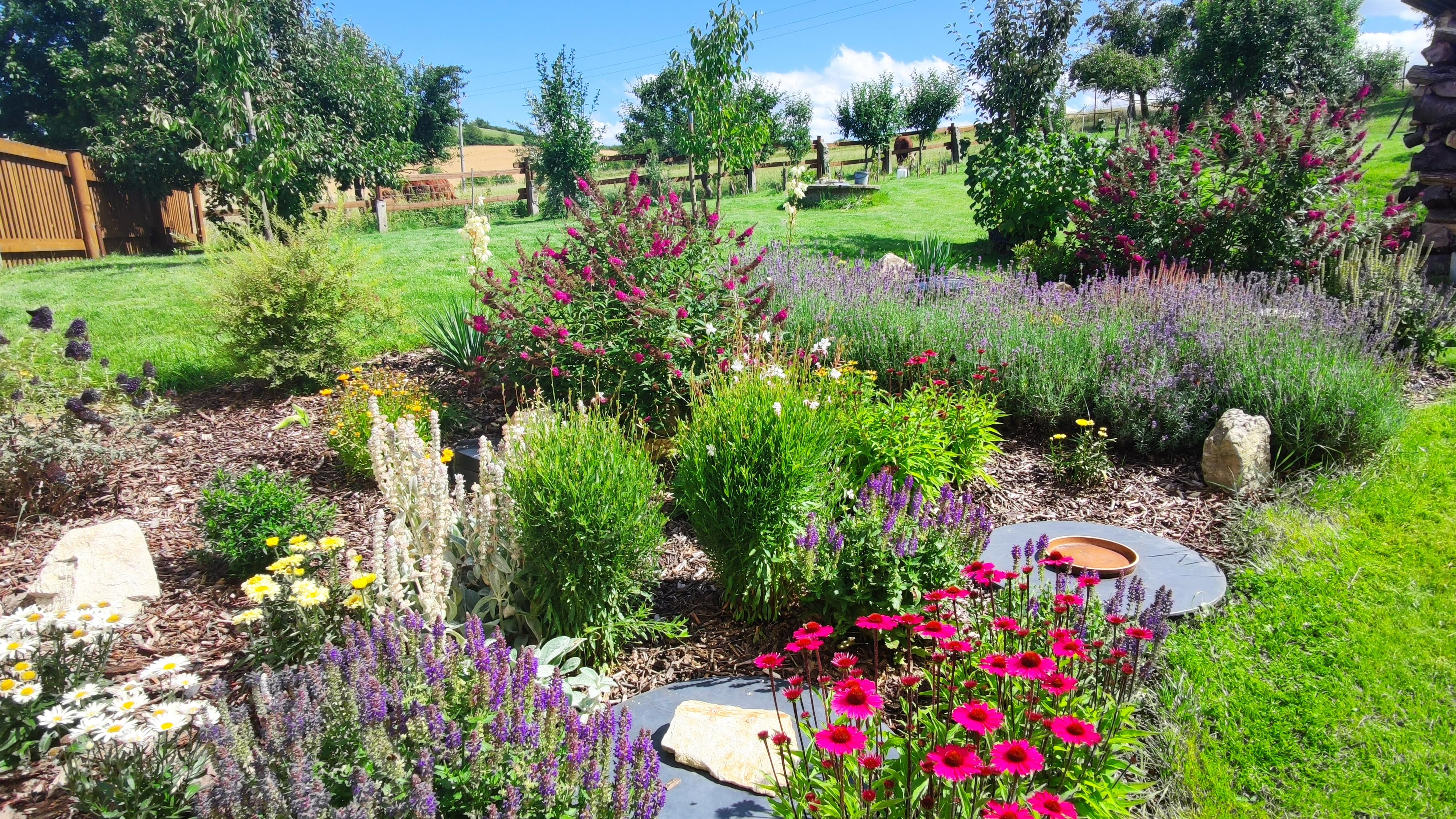 Chalupa U Dudáčků foto 2