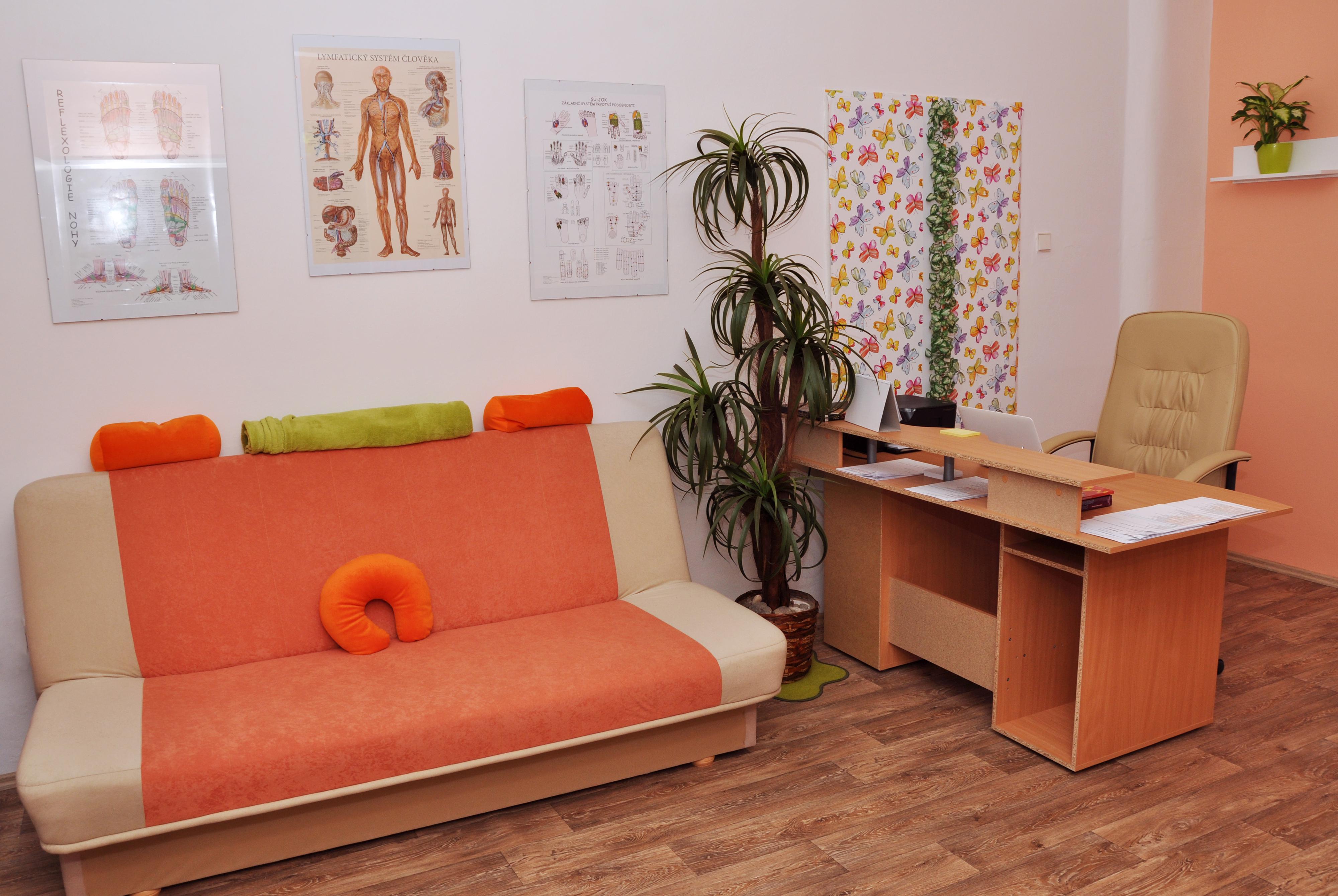 Zdraví v zrcadle - Biorezonance, Arnošt Smolný foto 2