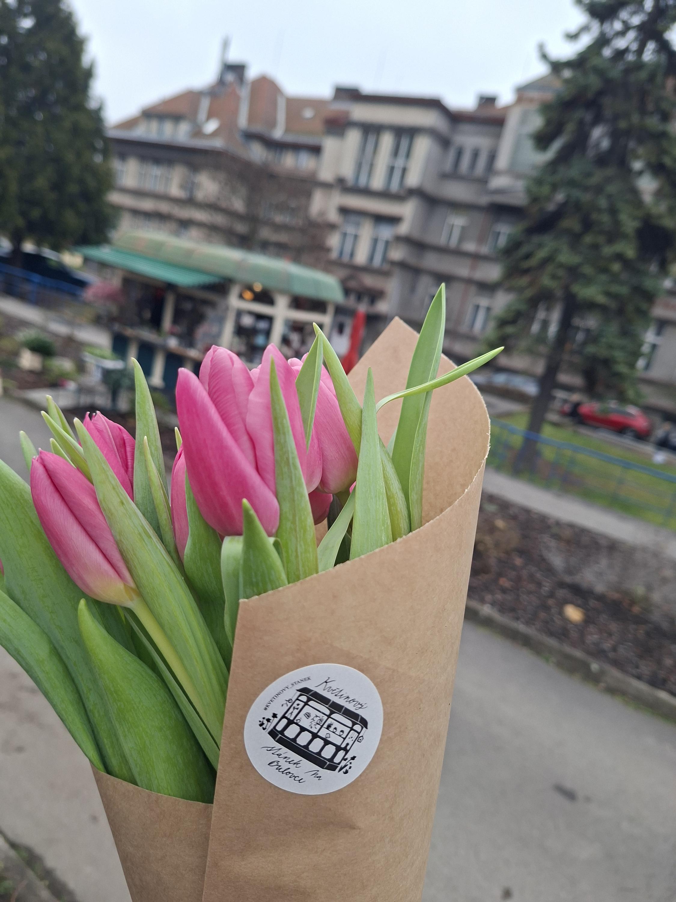 Květinový stánek na Bulovce foto 3