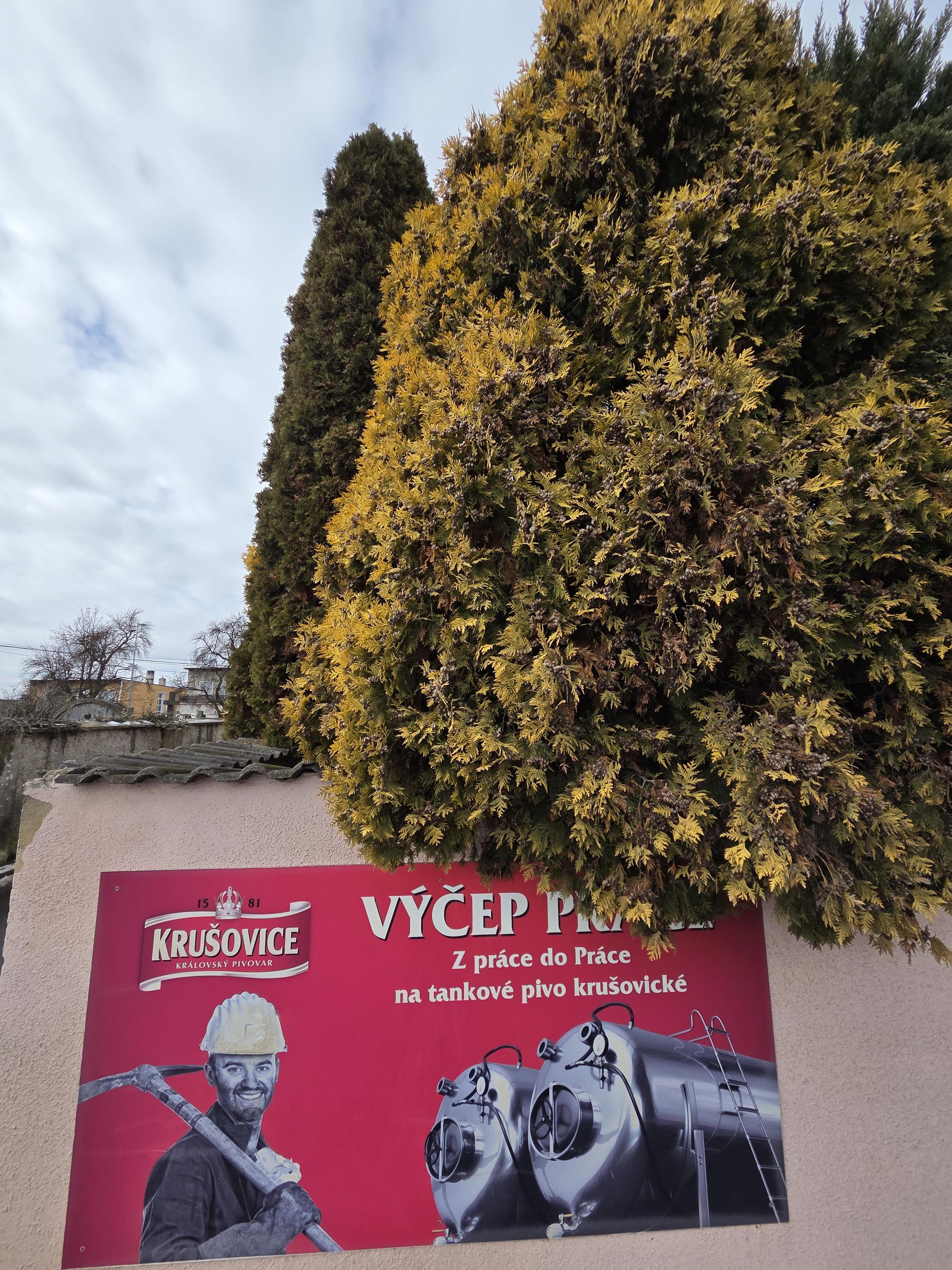 Výčep Práce foto 4