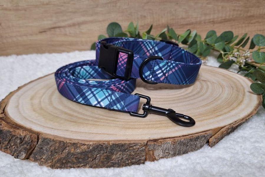 Originální softshellový set pro psy Square