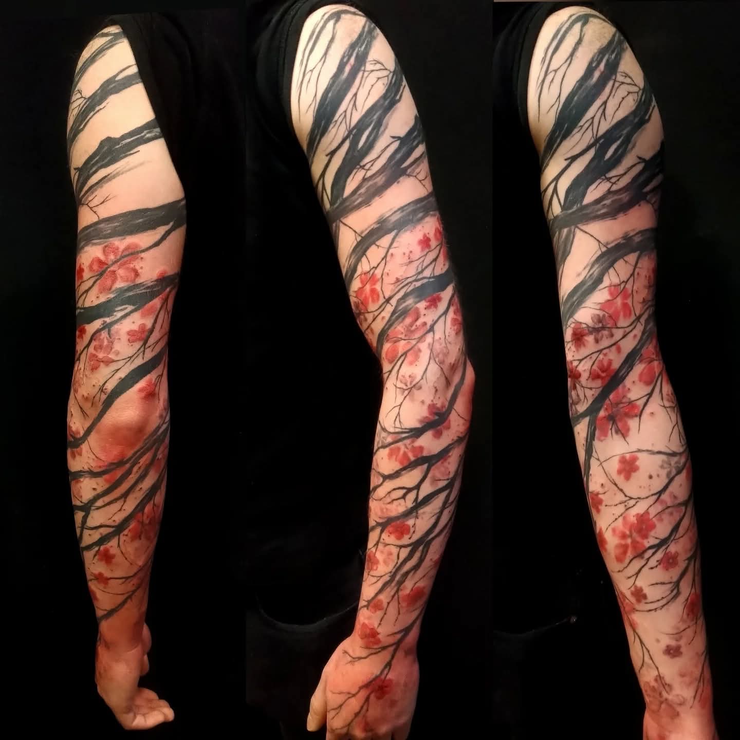 Kartotéka Art foto 2