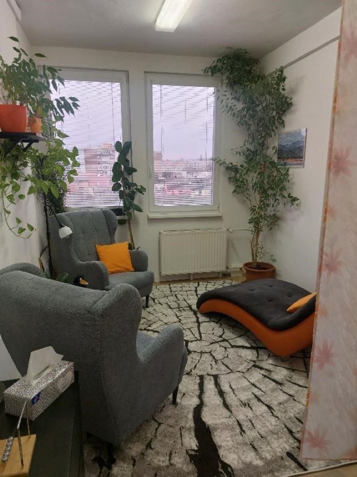 Psychologické poradenství - Mgr. Petr Hammerlindl foto 3