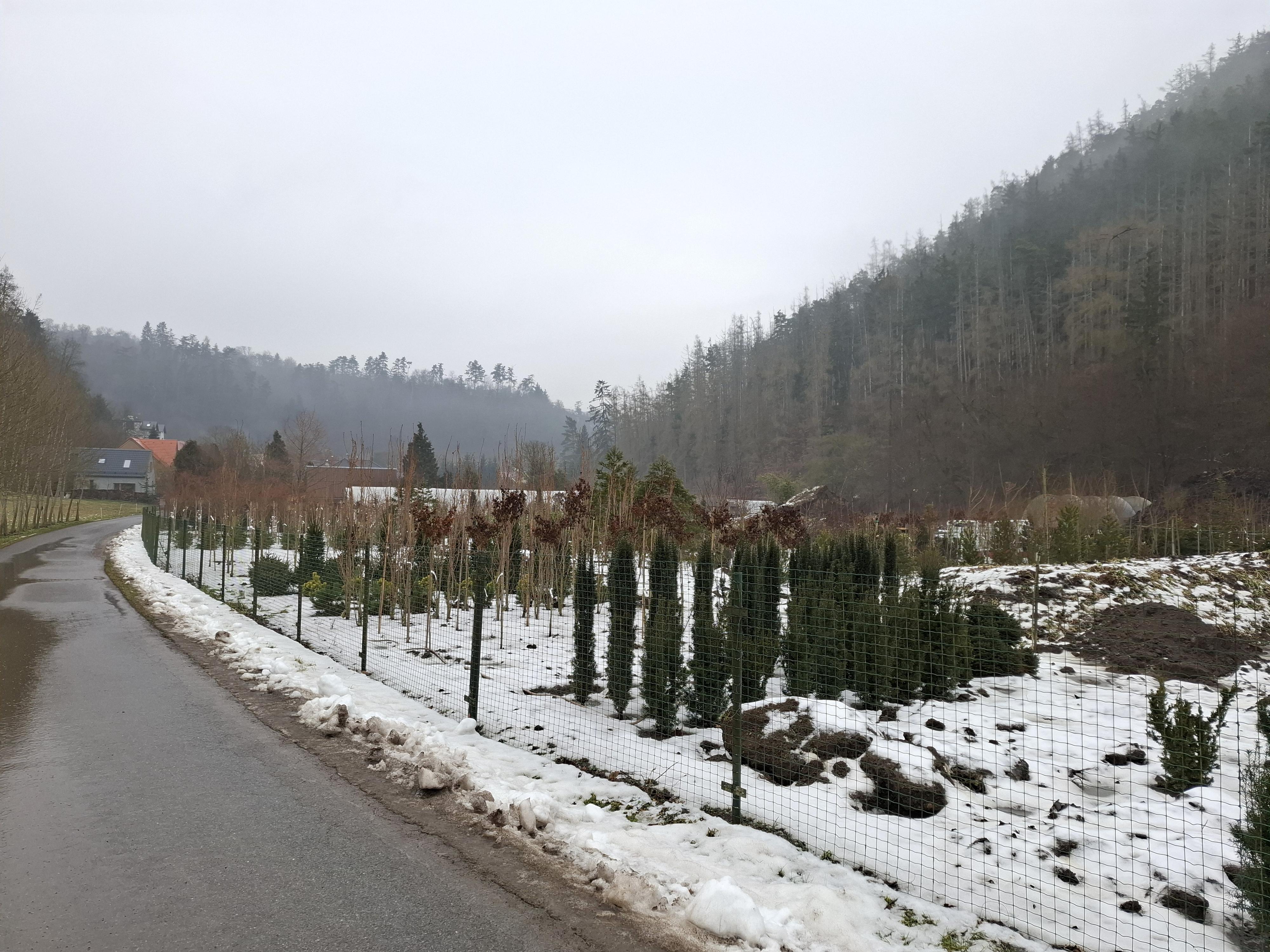 Zahradnictví Křeček "Za Rybníky" foto 2