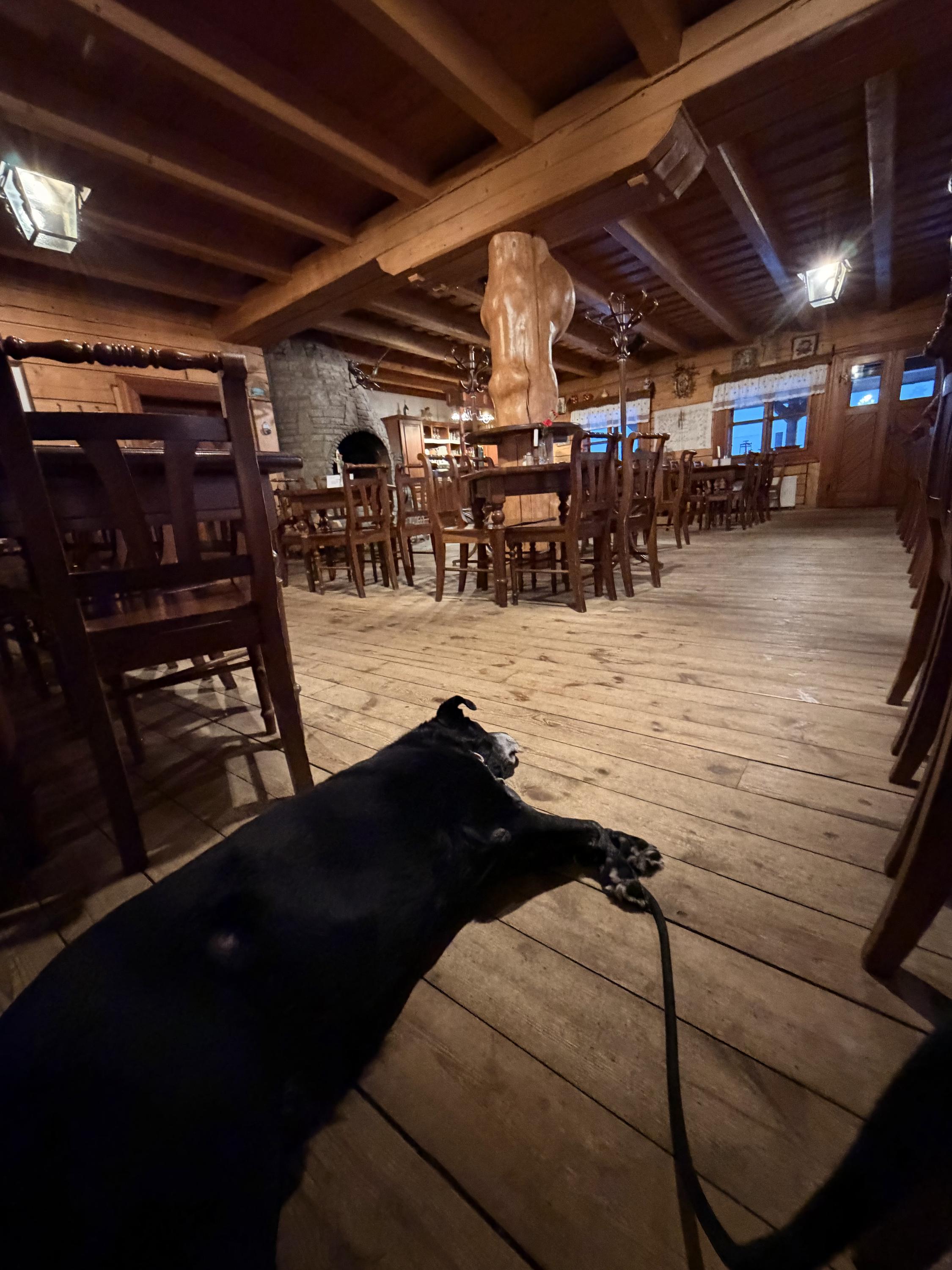 Restaurace Koliba Valaška foto 3
