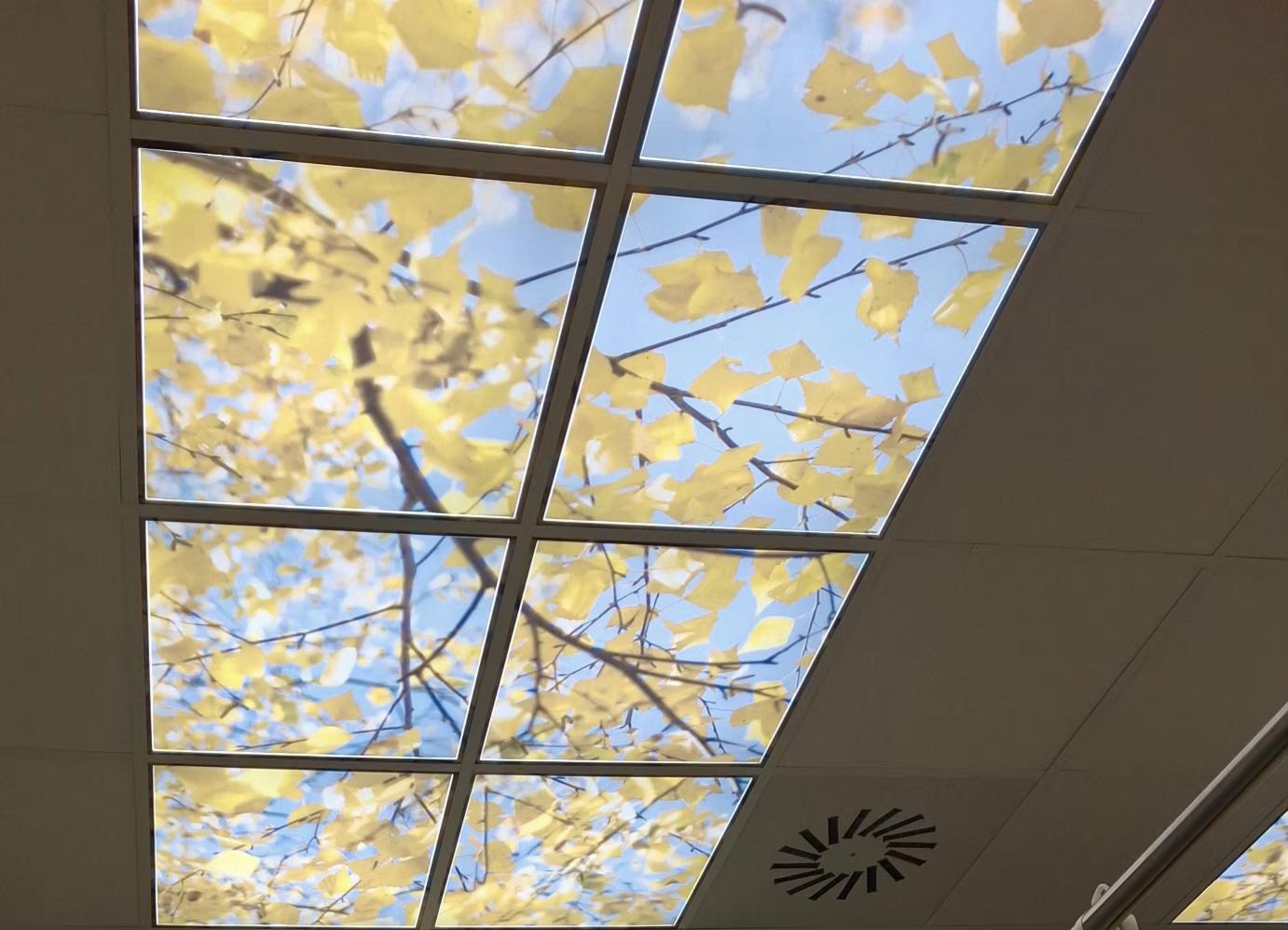 Fyzioterapie - Poliklinika Nemocnice Vyškov foto 2