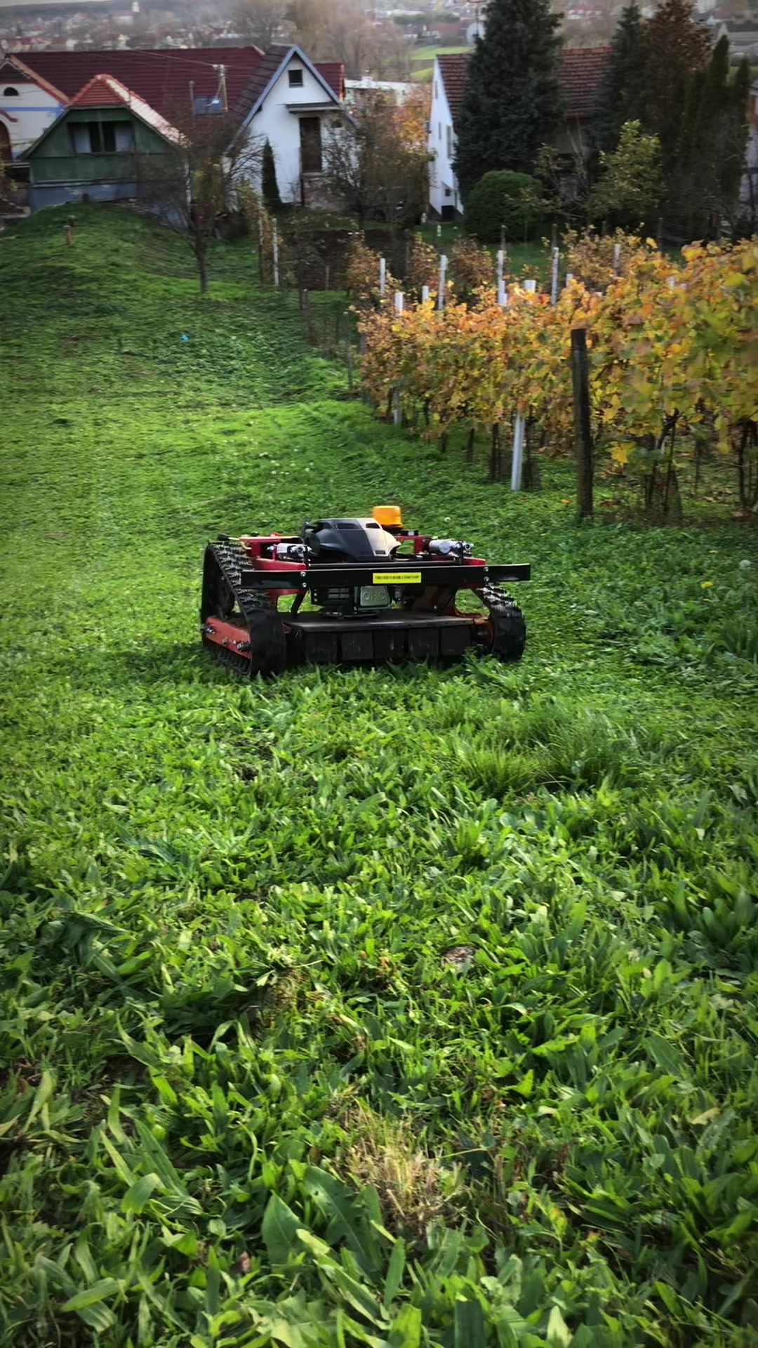 Svahovesekacky.eu foto 2 (náhled videa)