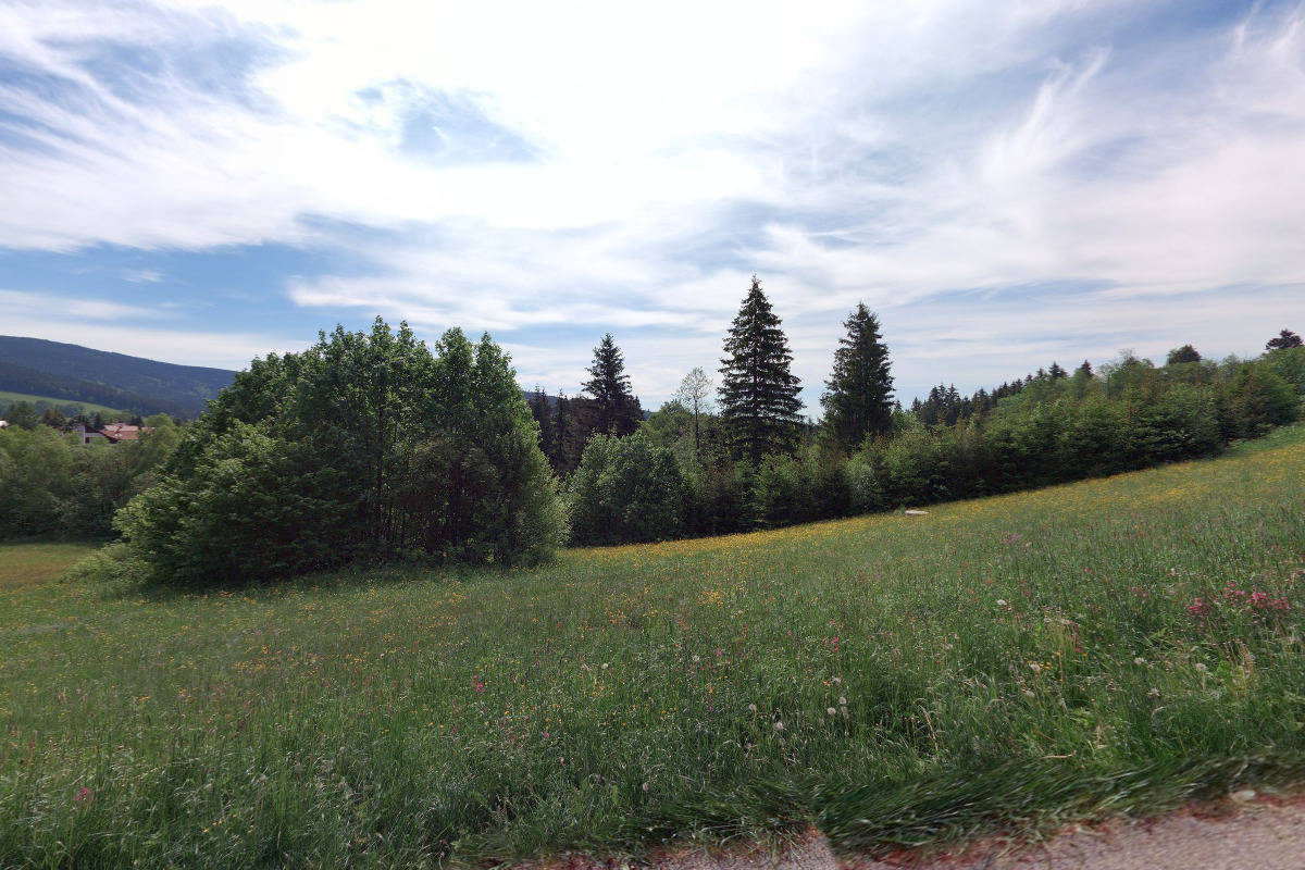 U nezbedné Lištičky foto 1