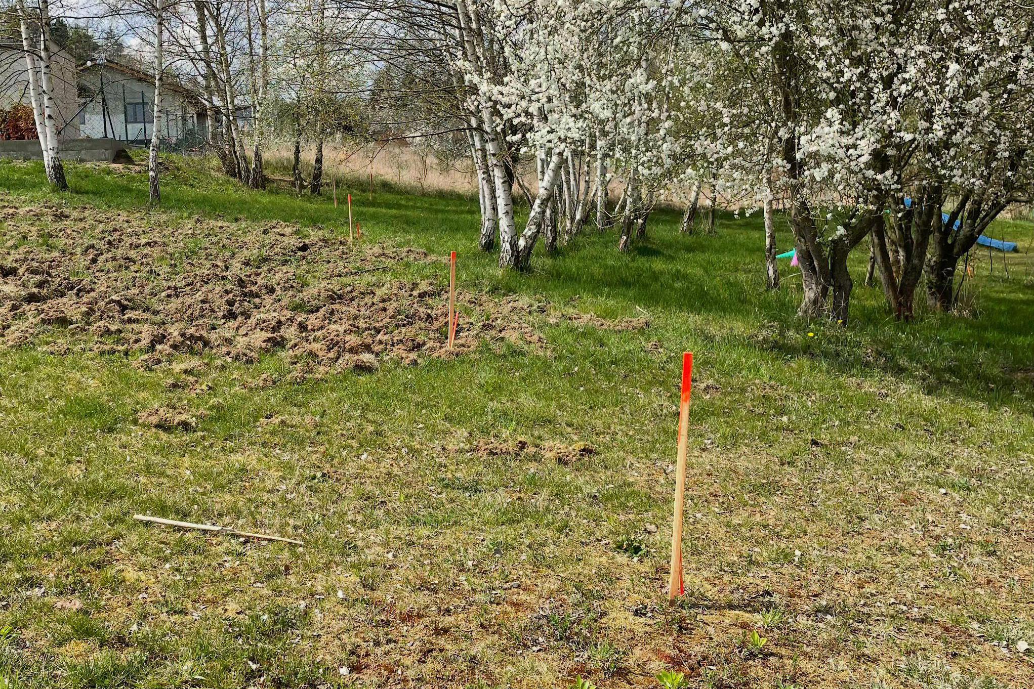 Geopatogenní zóny - Michal Lehký