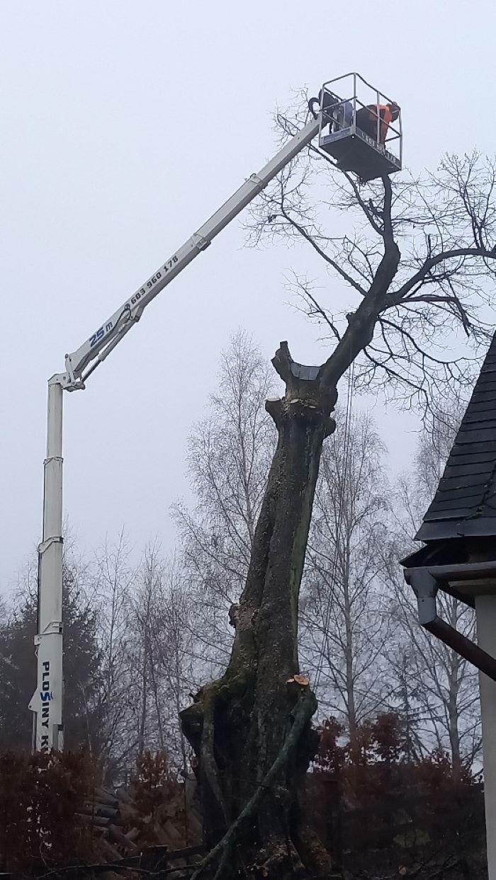 Rizikové kácení stromů - Vilém Lehar foto 3