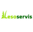 logo Lesoservis