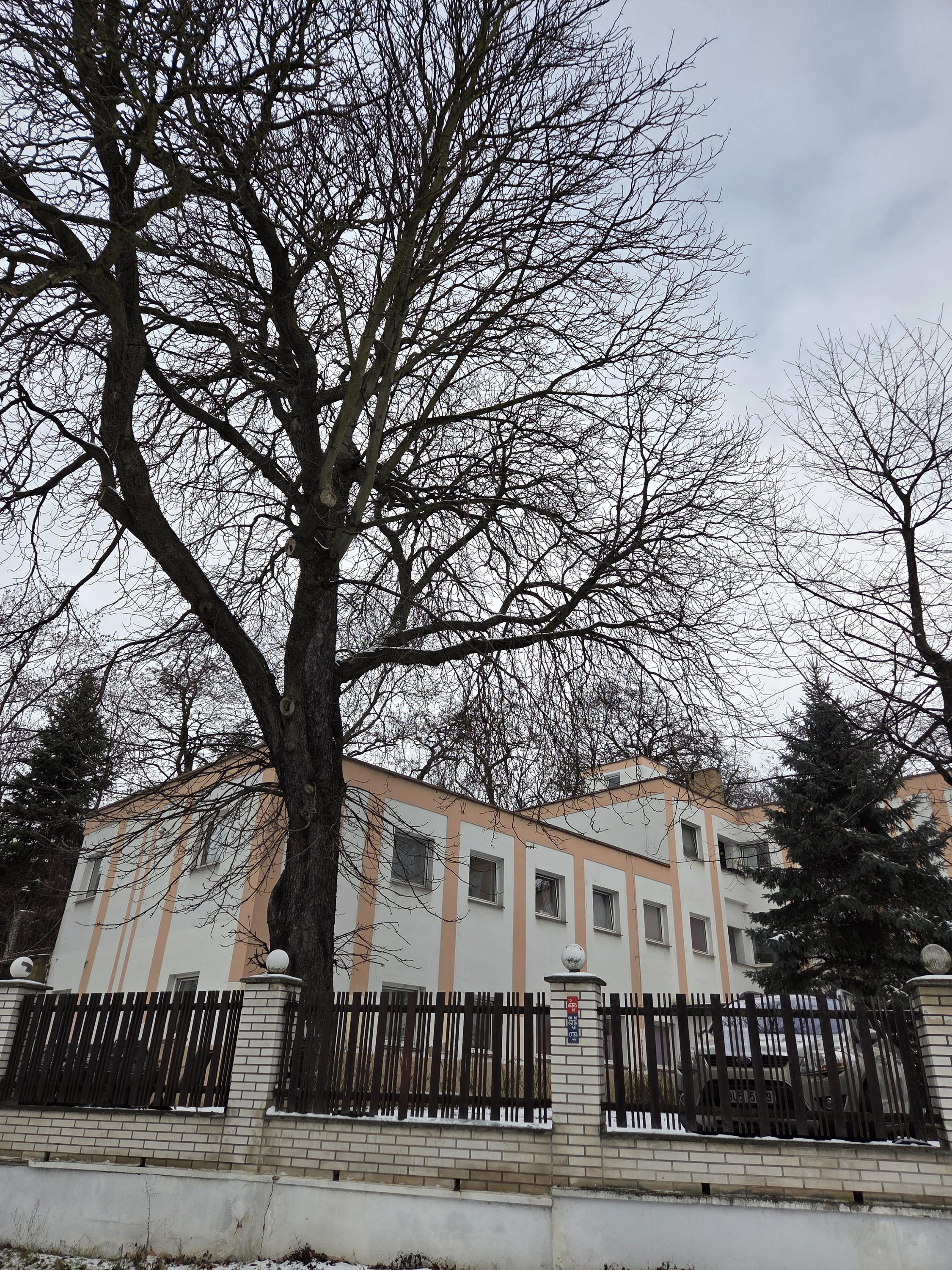 Hotel Ivka foto 3