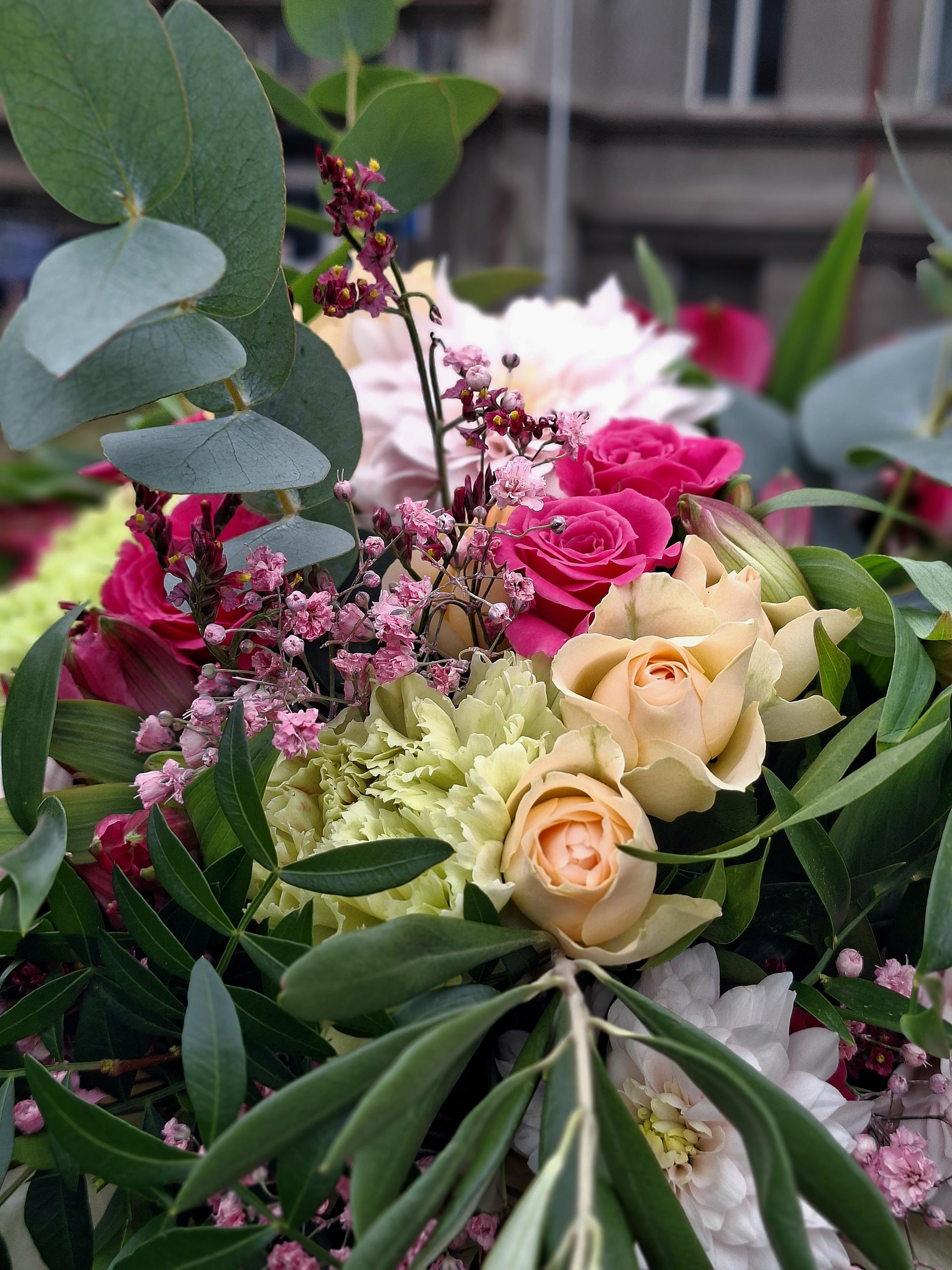 Květinový stánek na Bulovce foto 4