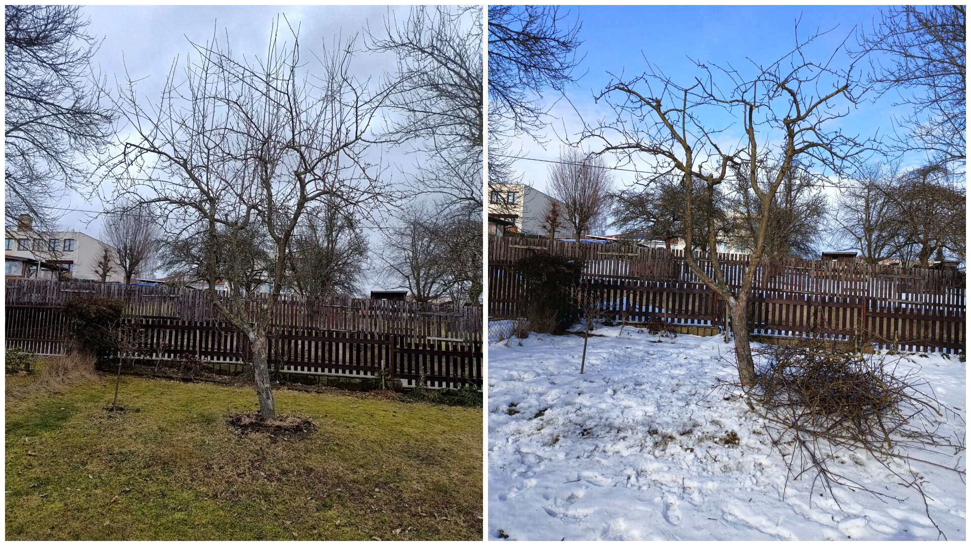 Andrej Solomin - Řez - tvarování - kácení foto 6