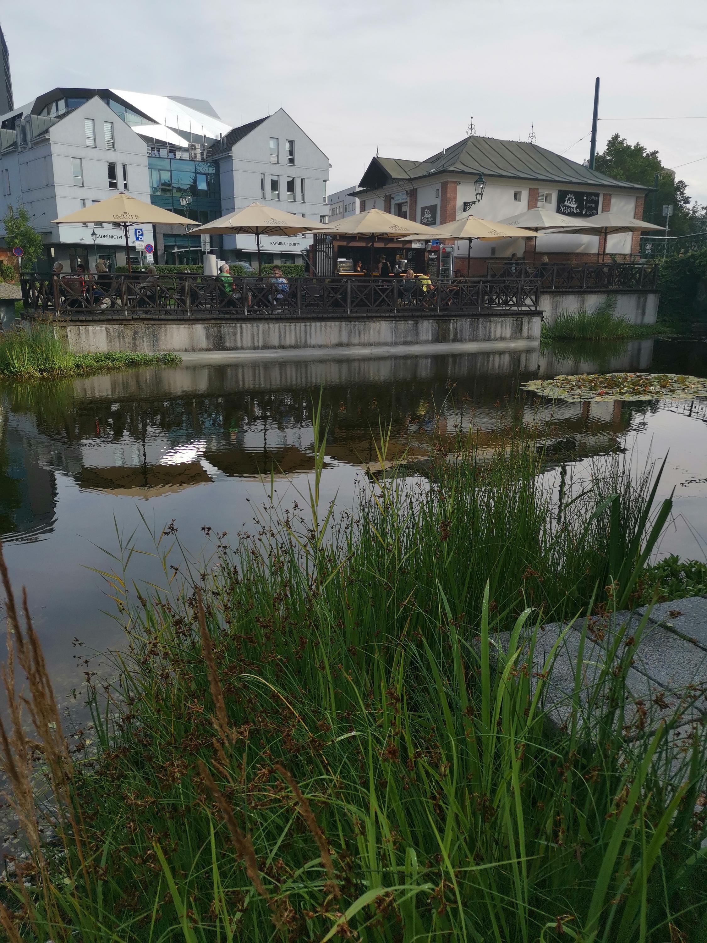 STROUHA coffee & wine & spirits foto 6