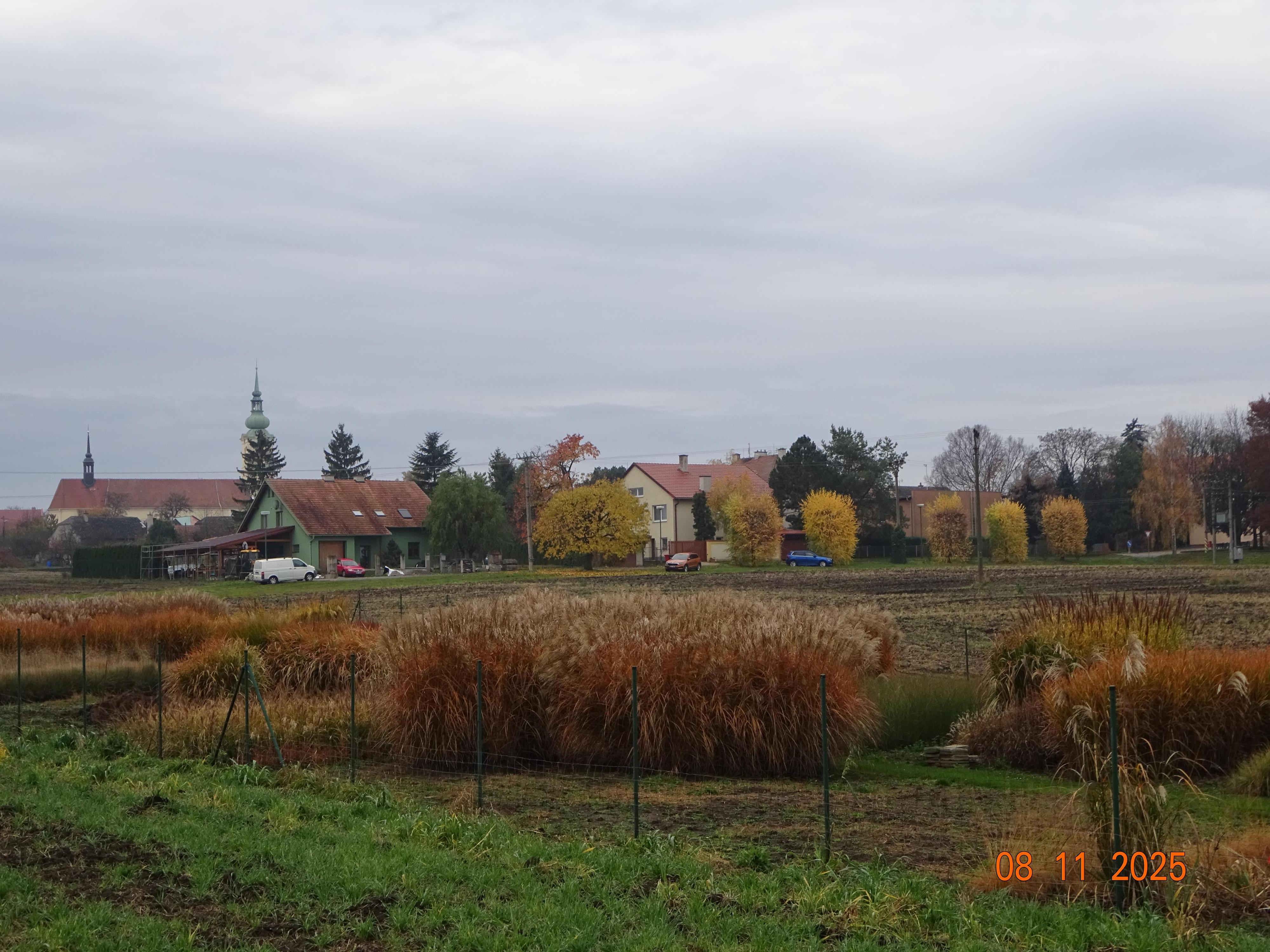 MRVA-okrasné trávy, trvalky s.r.o. foto 3