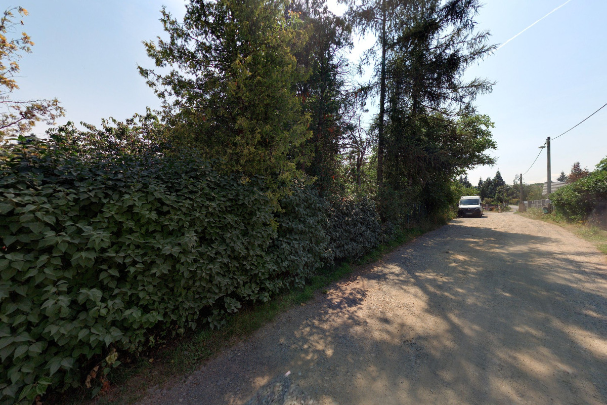 Nasehnoji.com foto 2