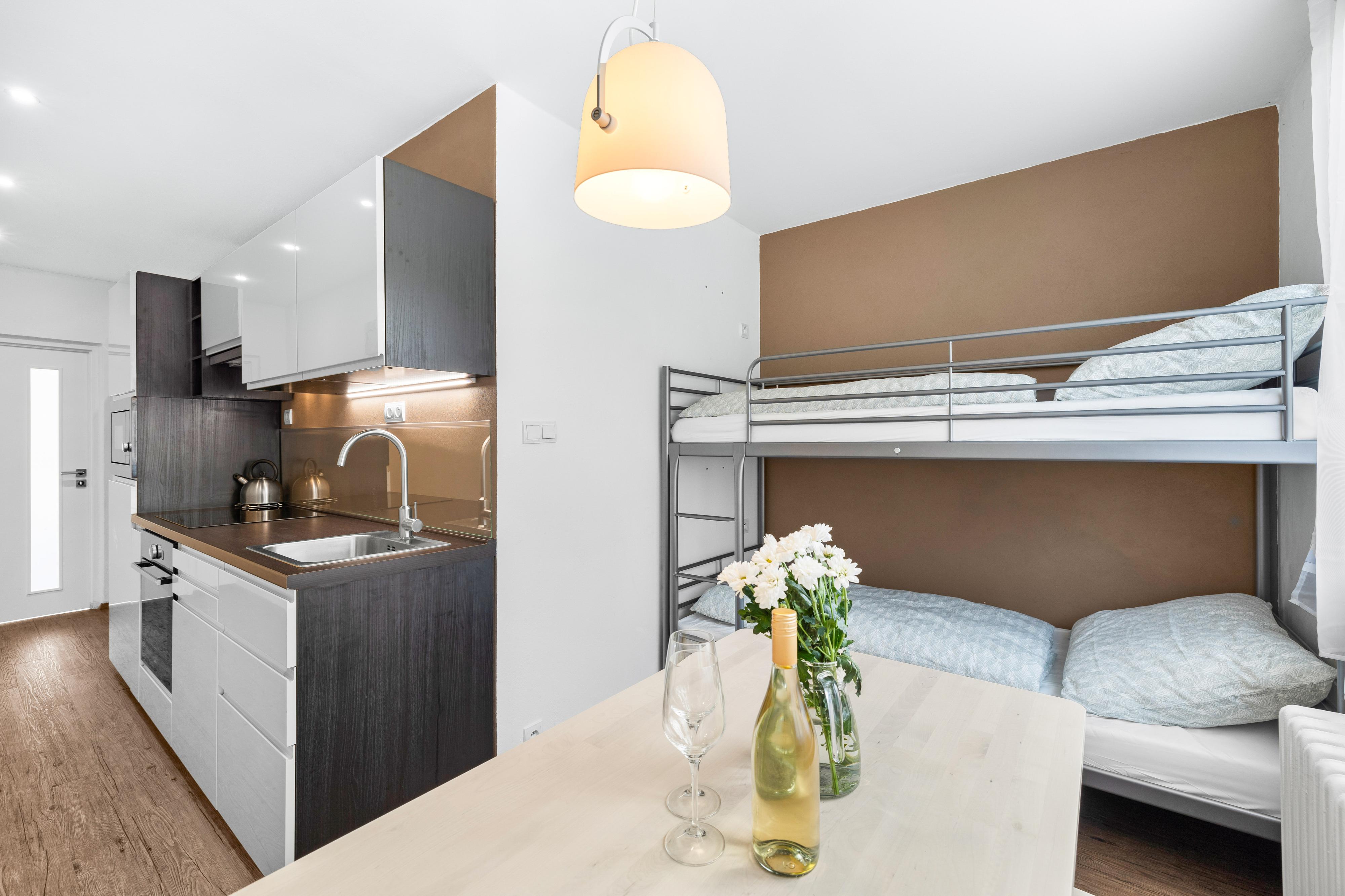 Apartmán Amálka pod Tanvaldským Špičákem foto 3