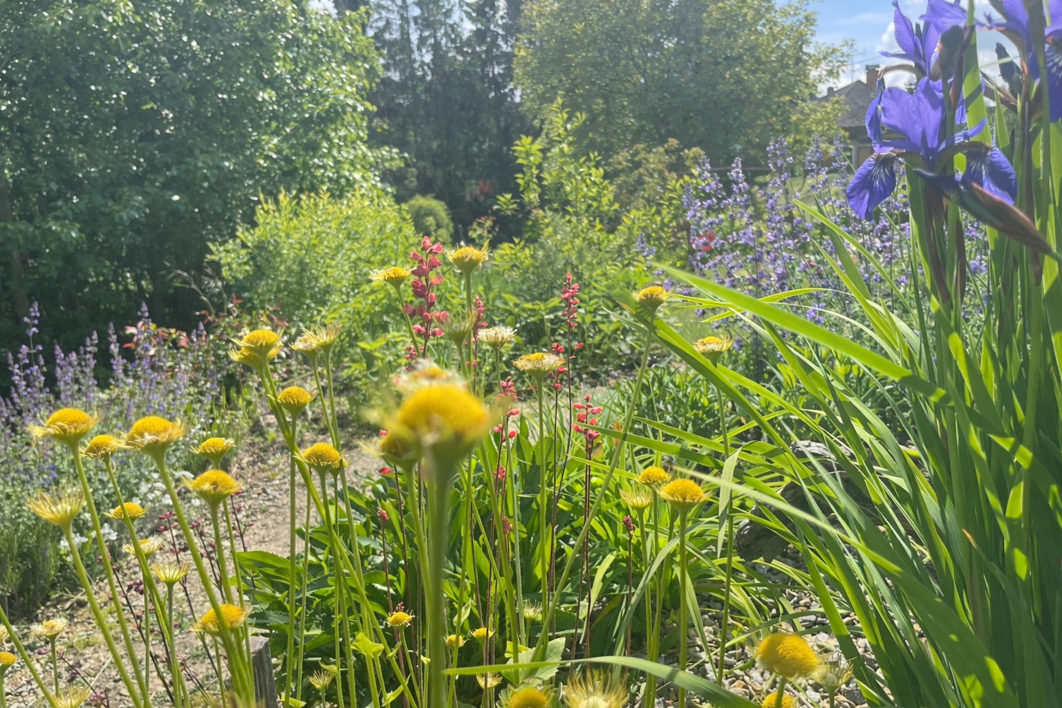 Výběrové zahrady - zahradní design foto 1