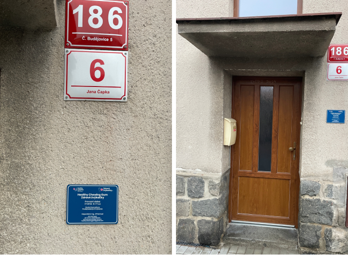 Healthy Chewing Gum foto 2