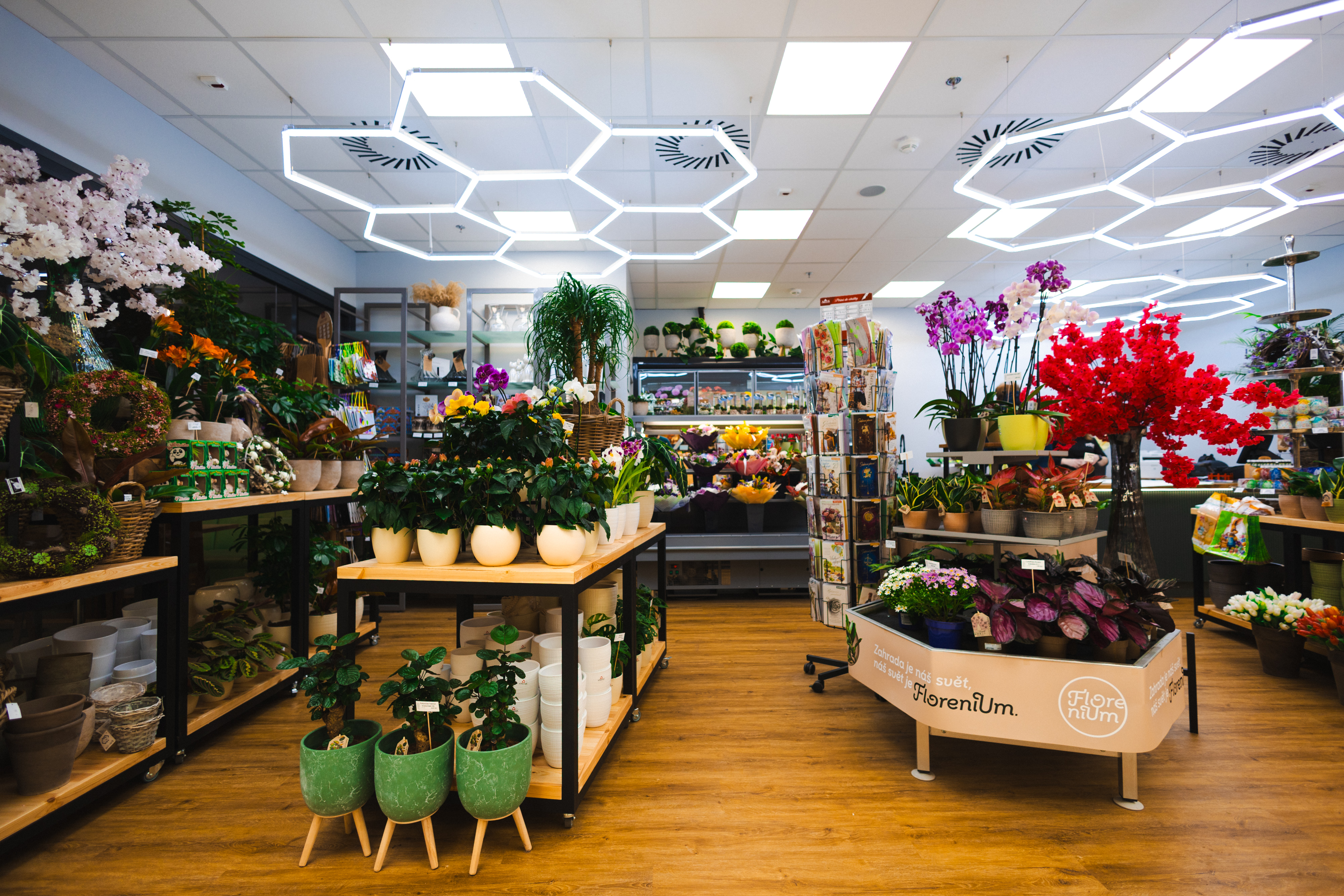 Květiny Flora foto 2