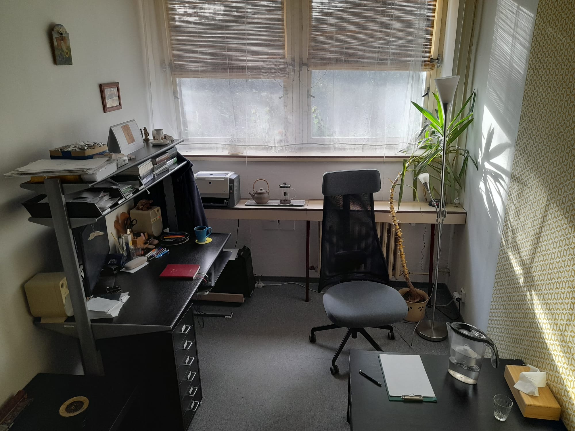 Homeopatie - Mgr. Adam Havlín foto 3