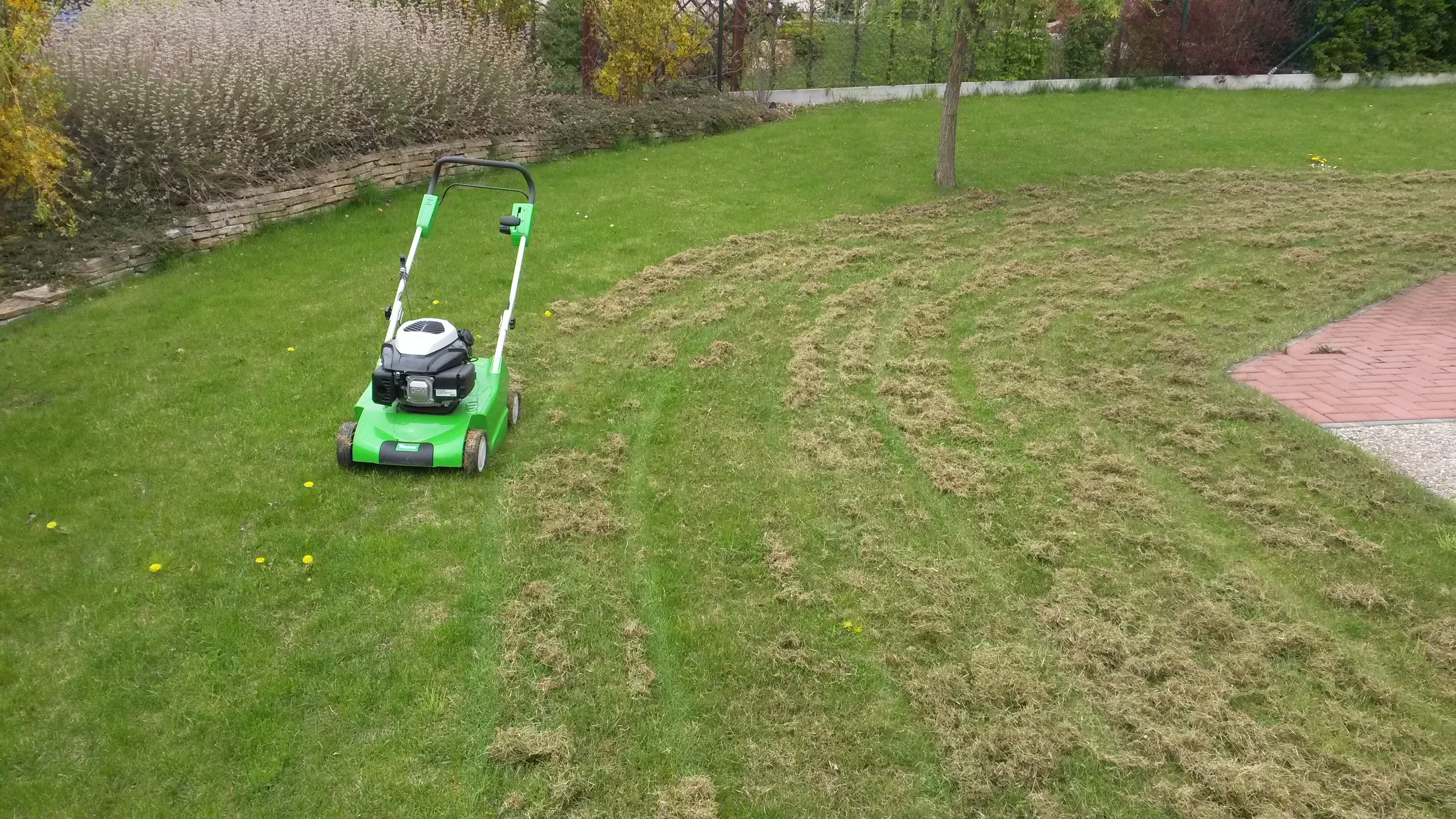 Vertikutace trávníku