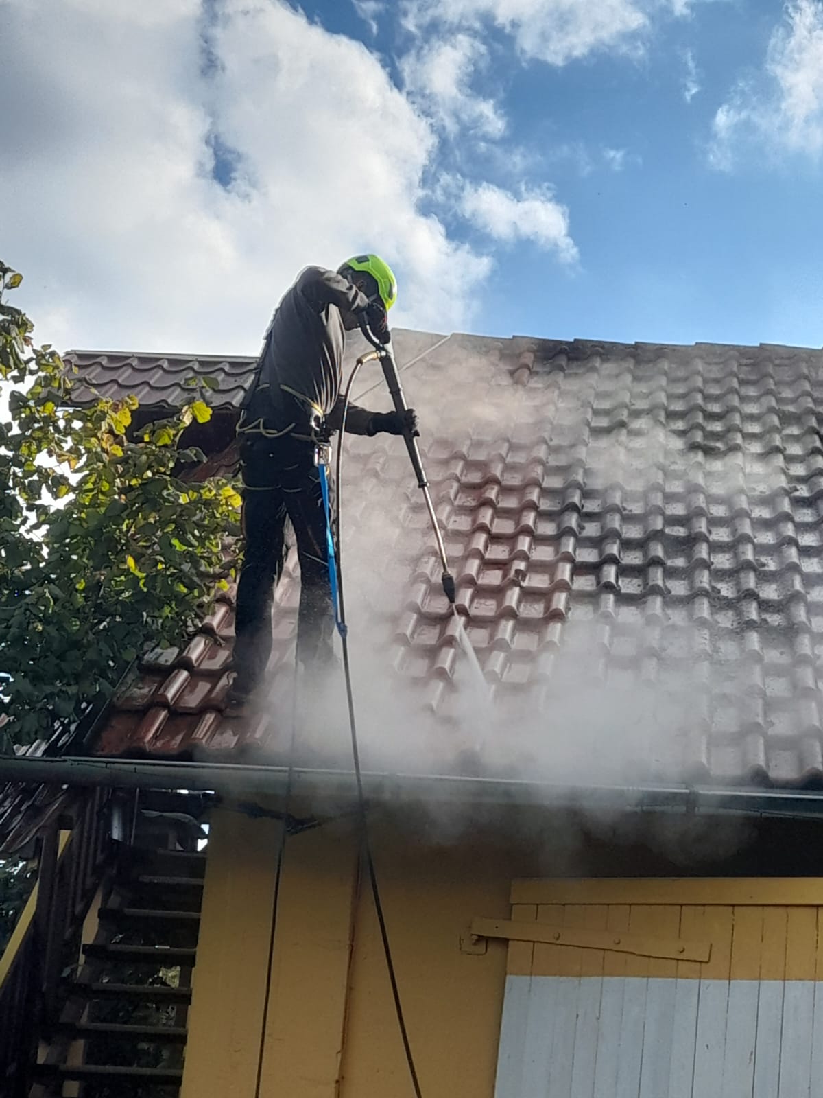 TM CLEANING foto 5