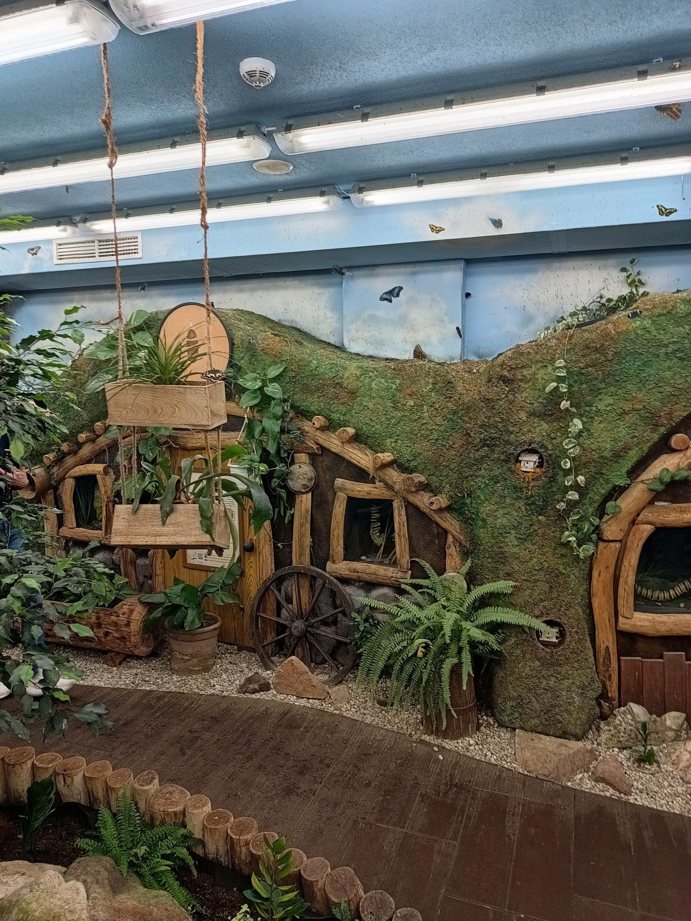 Papilonia – motýlí dům Karlovy Vary foto 5