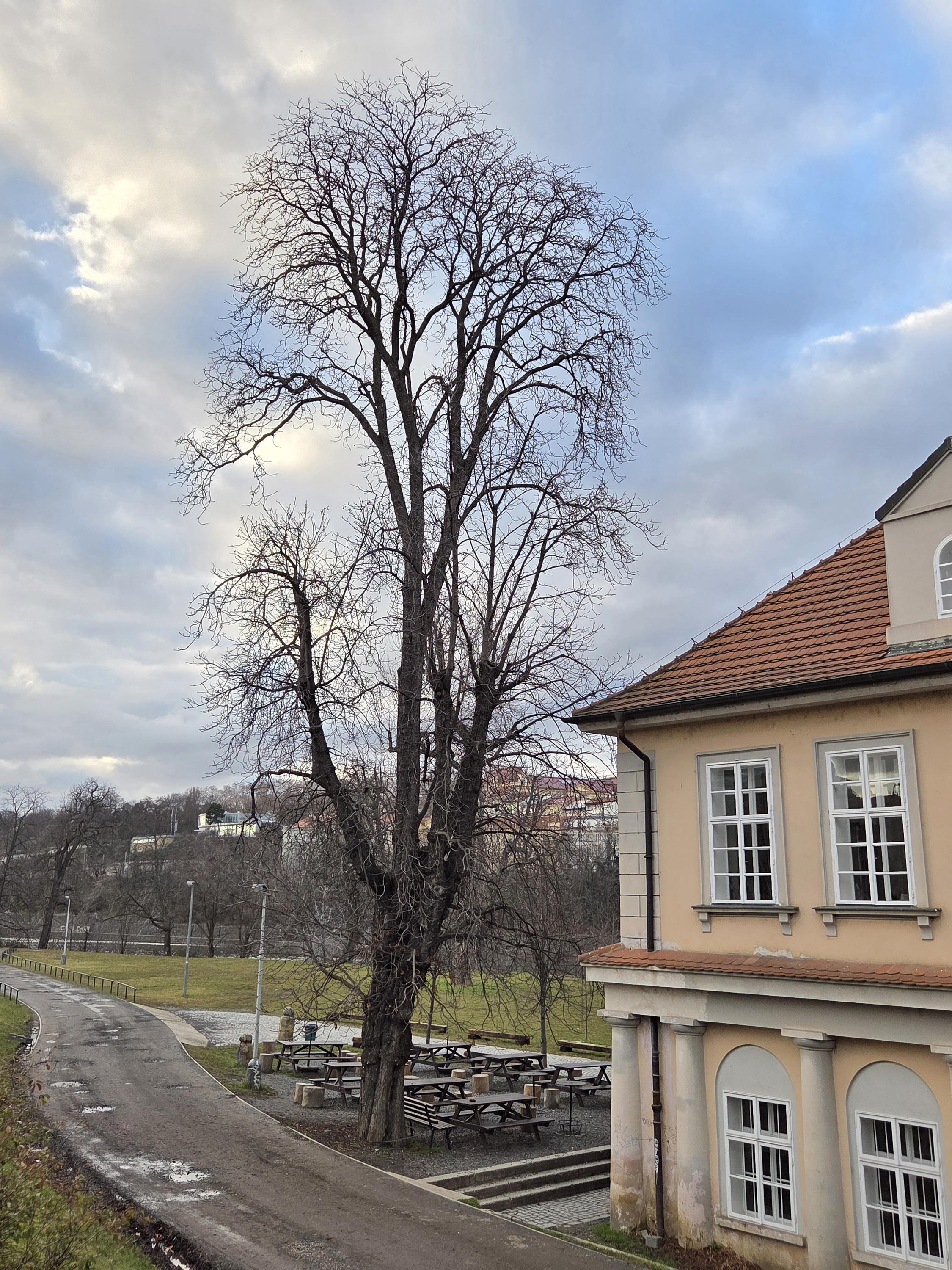 CAFÉ BAR VILA ŠTVANICE foto 5