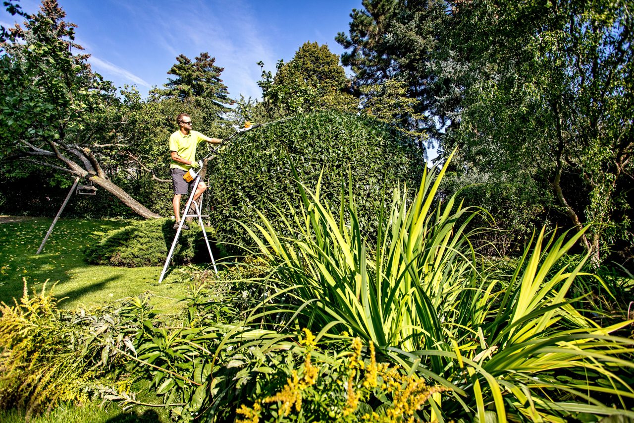 Gardners Design foto 4