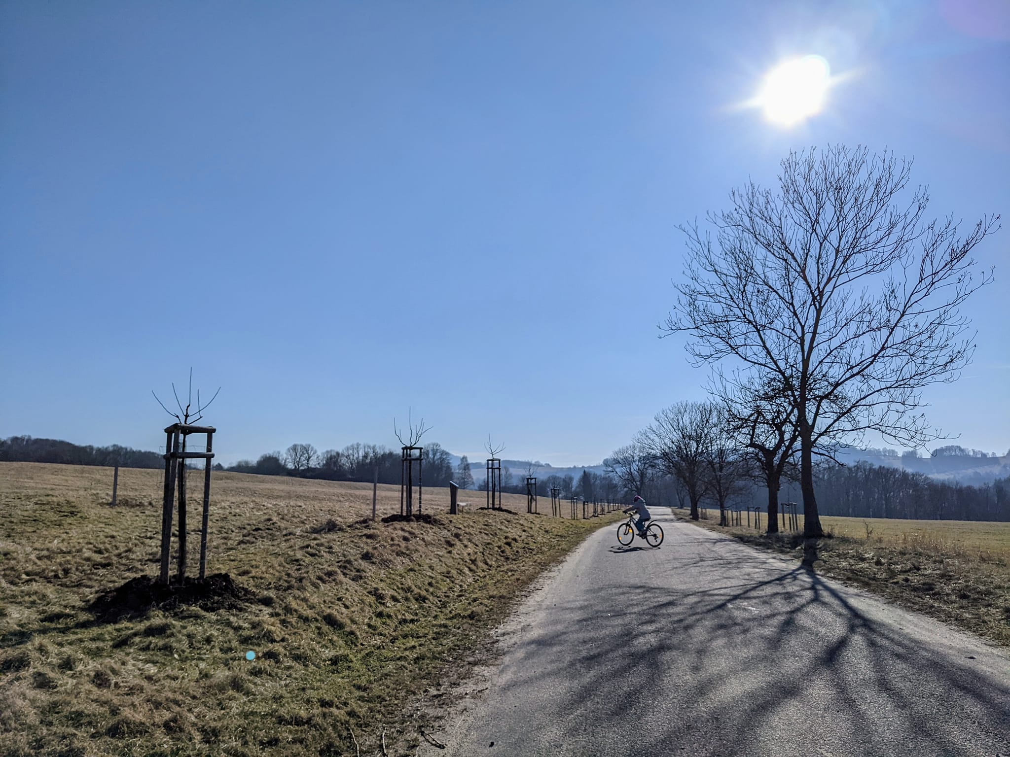 Malá jižní stráň foto 3
