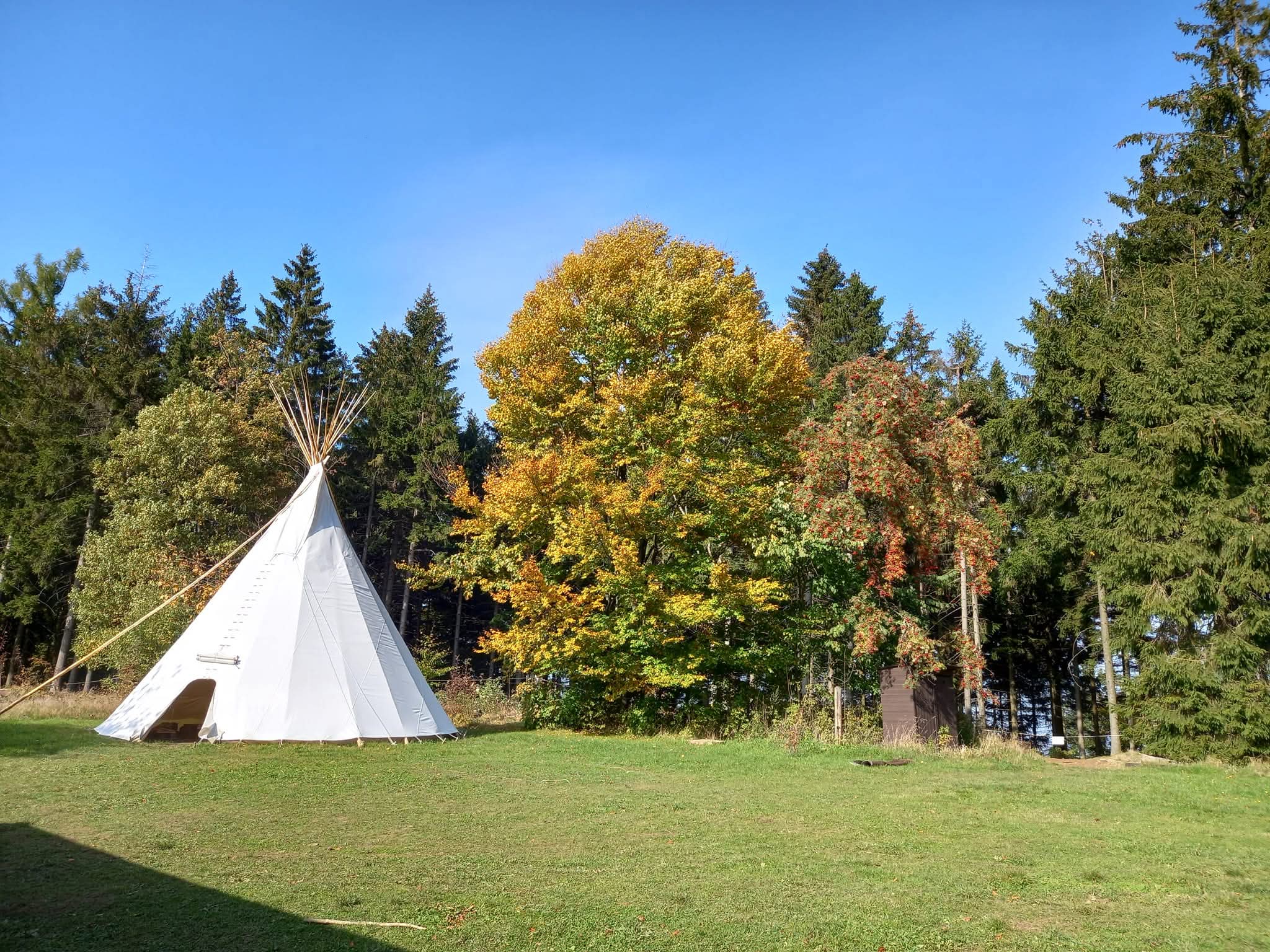 Lesní klub Muhu foto 3