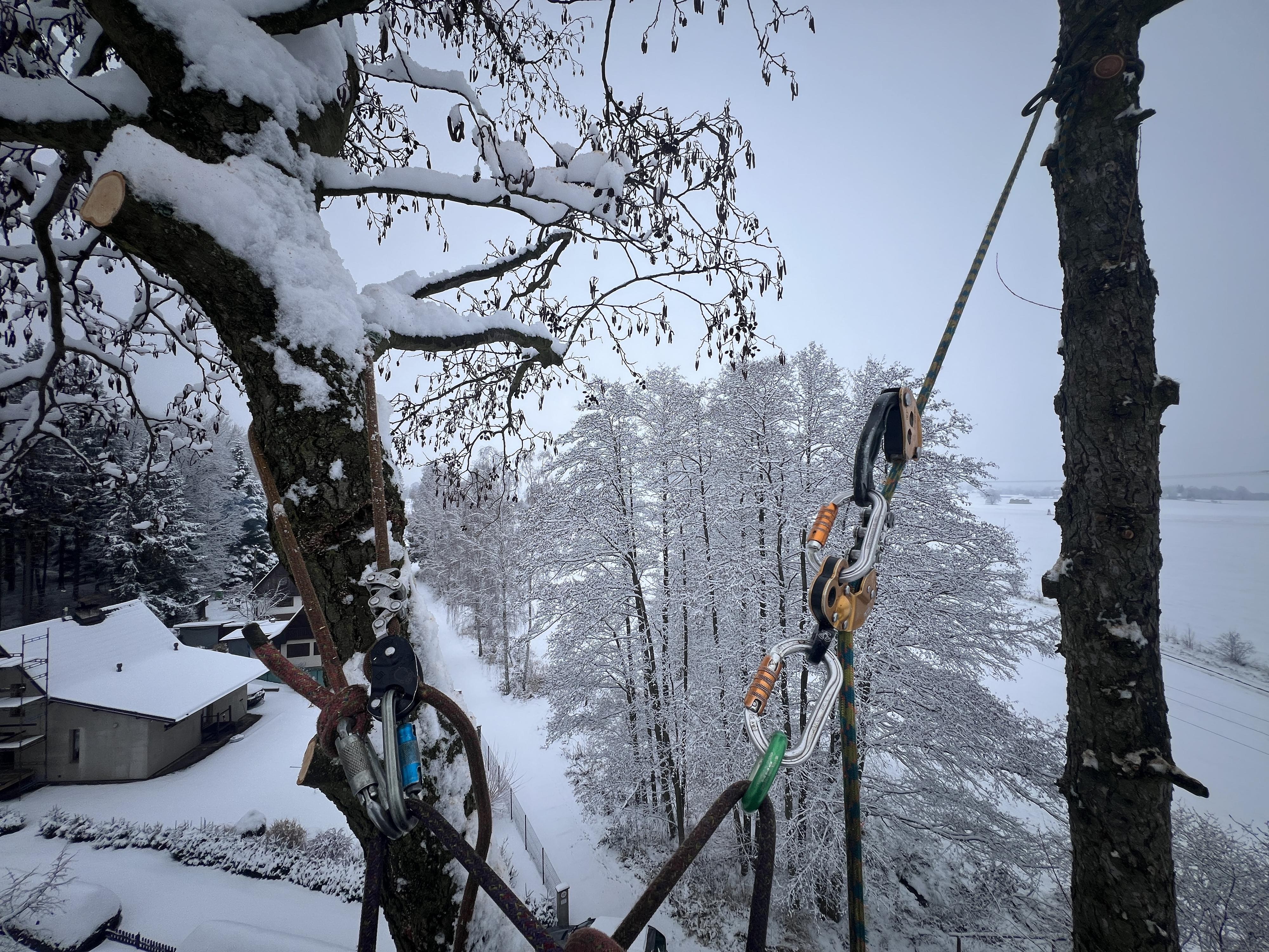 Štěpán Stryk - Arboristika & rizikové kácení foto 3